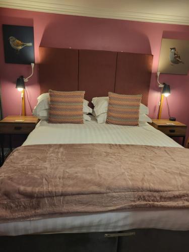 King Room photo 2