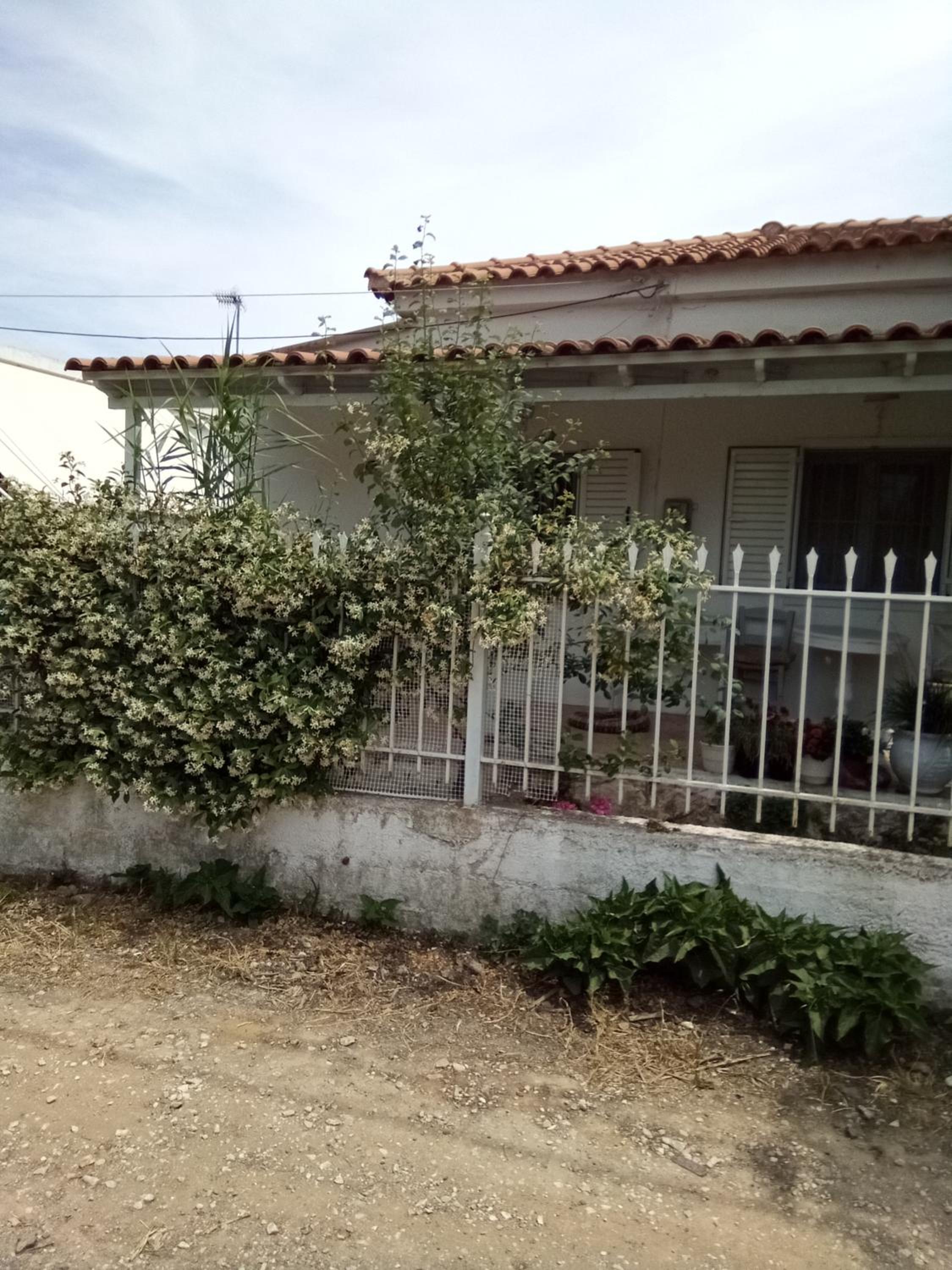 One-Bedroom House photo 2