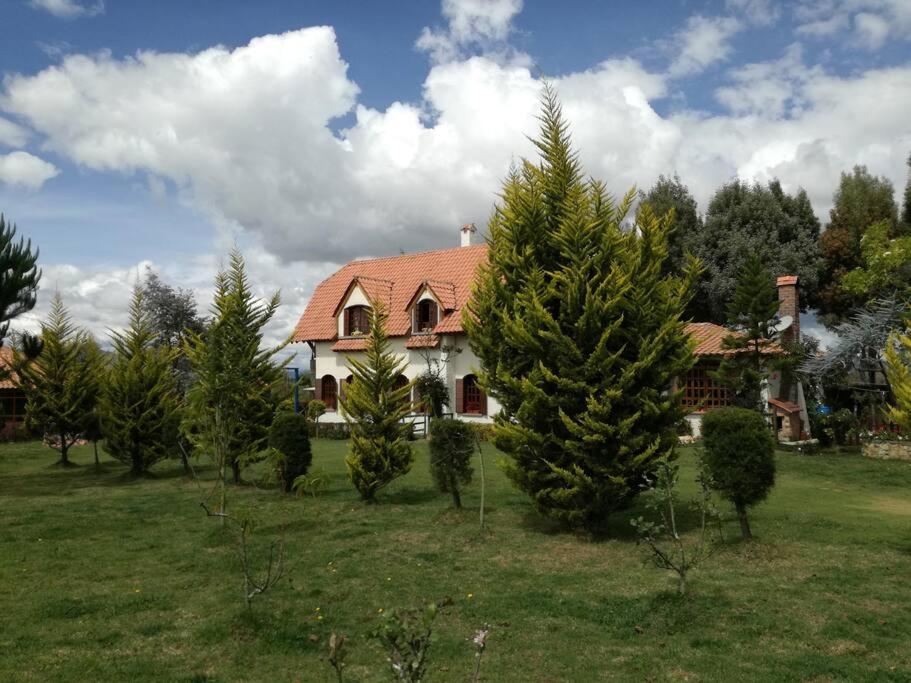 Four-Bedroom House photo 3