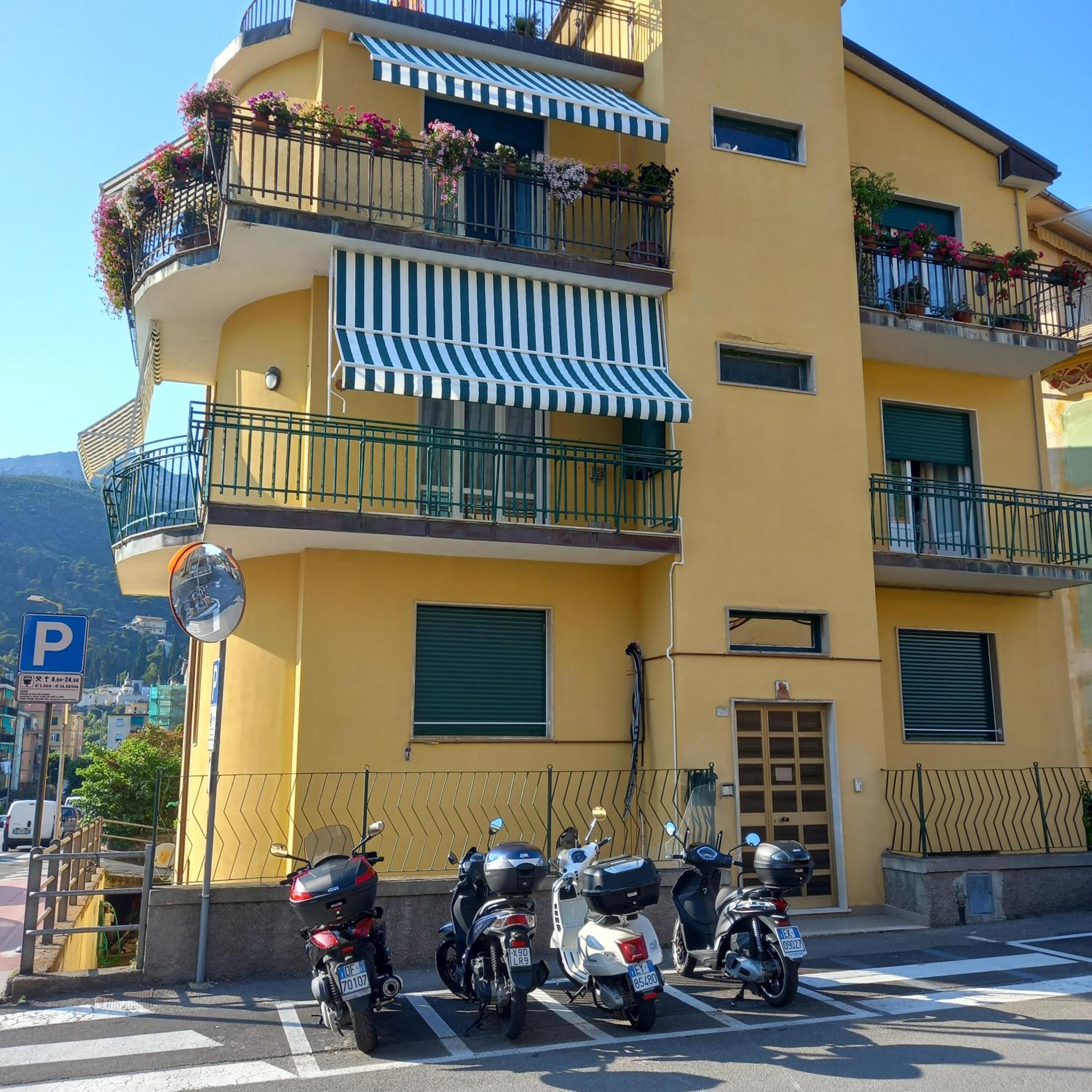 Apartment with Terrace photo 3