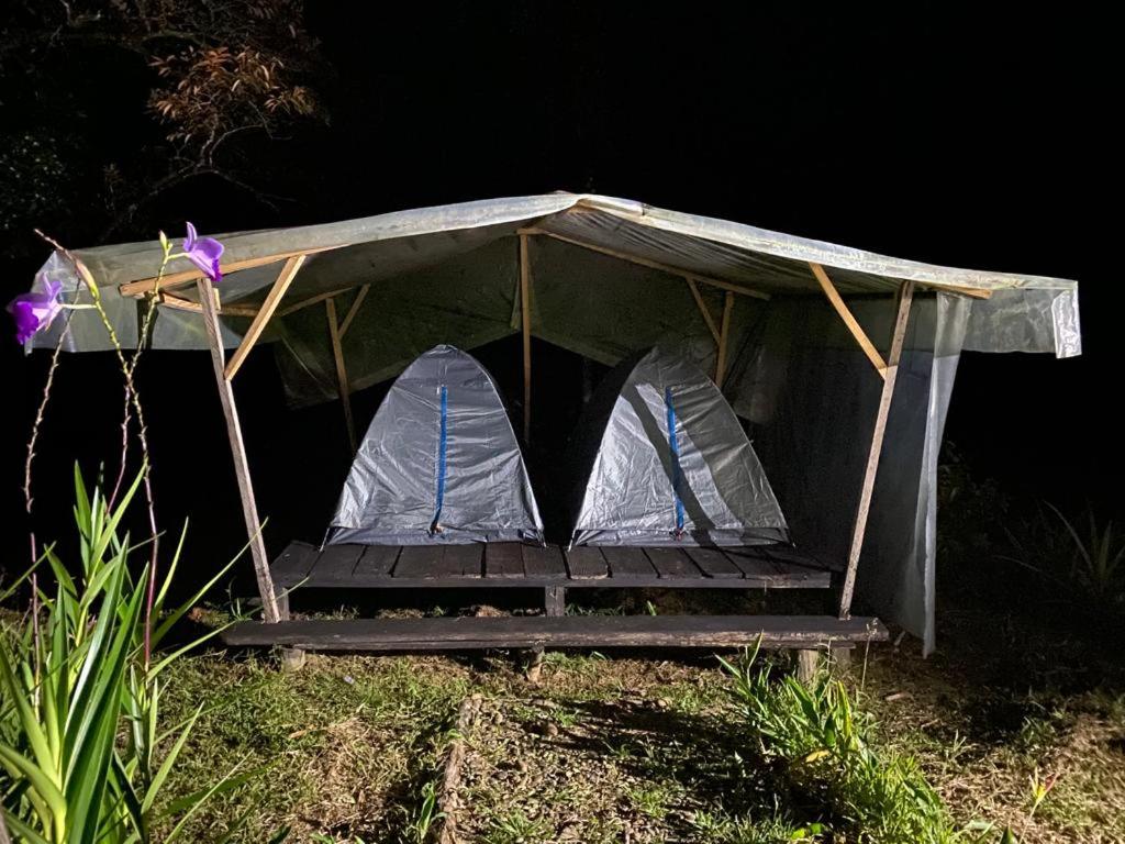 Tent photo 1