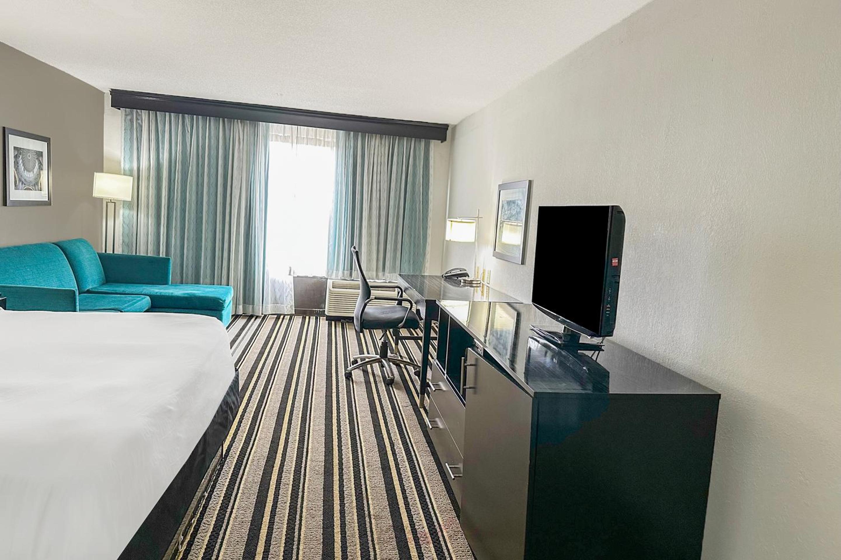 Suite - King Bed - Photo 5