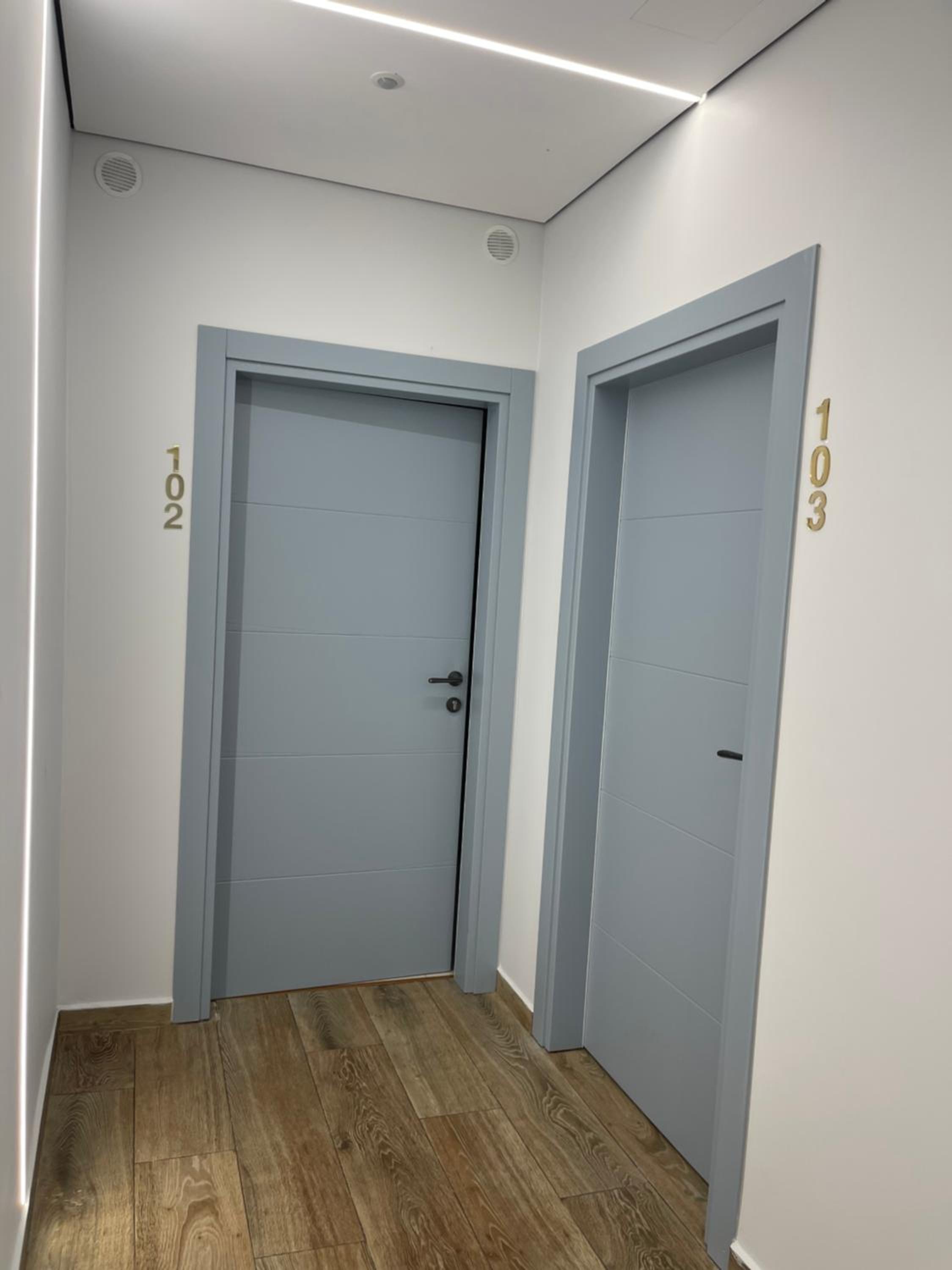 One-Bedroom Apartment photo 2