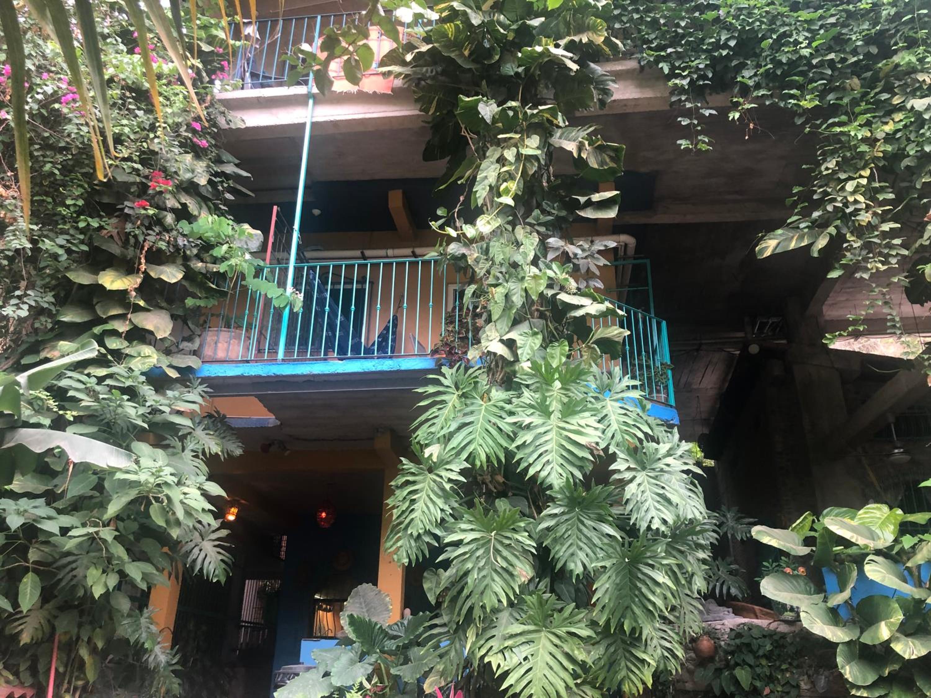 Jungle Hideaway - Photo 27