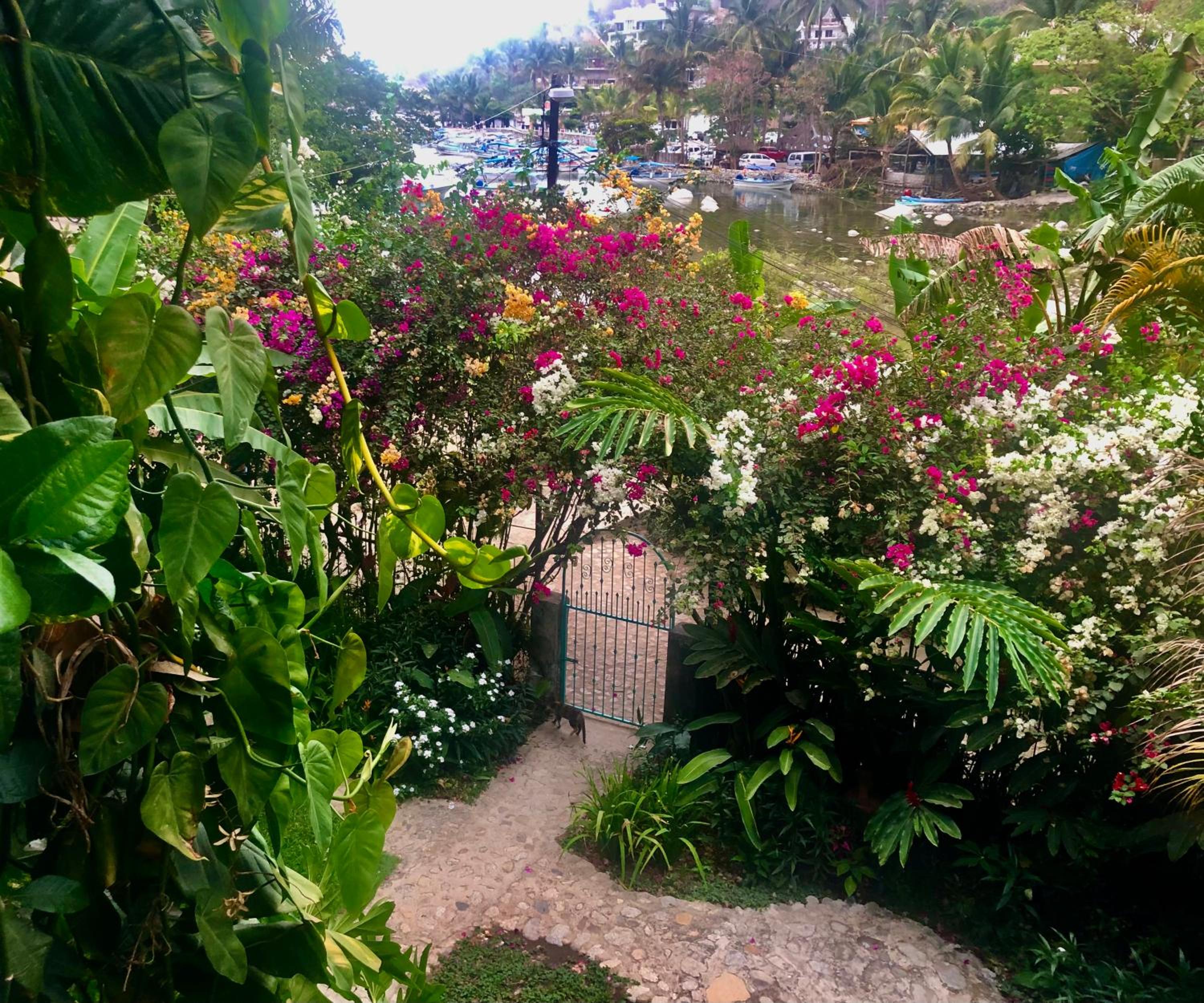 Jungle Hideaway - Photo 30