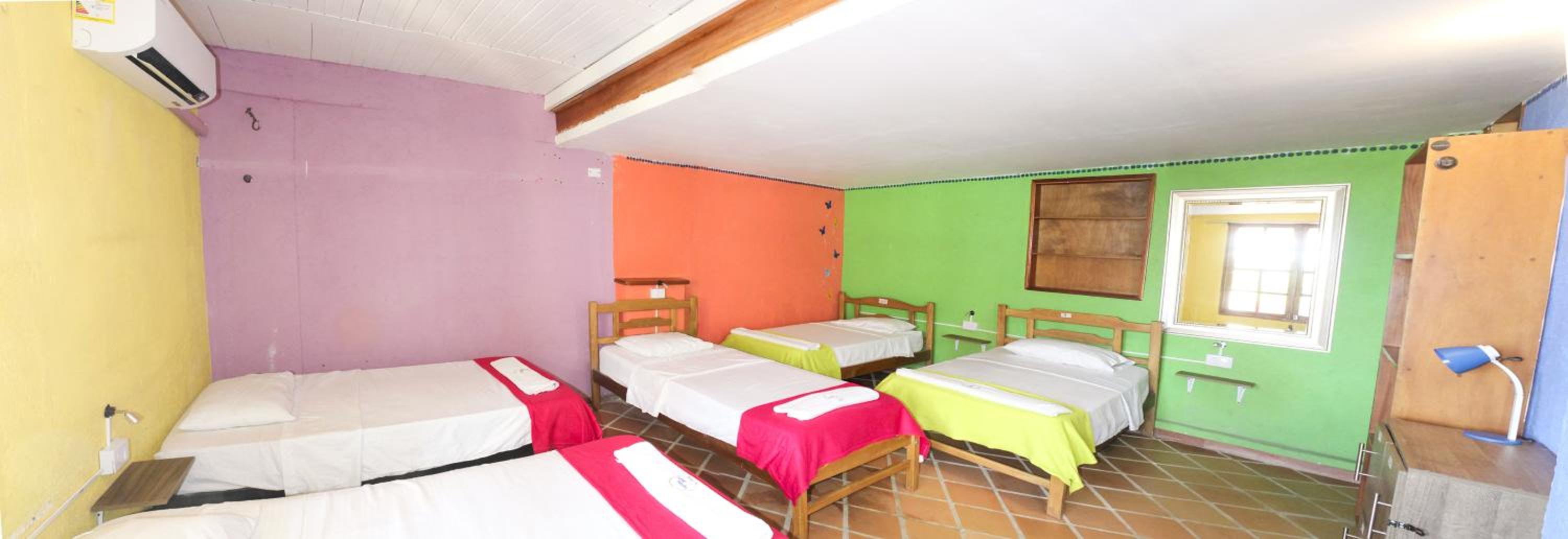 Single Bed in Mixed Dormitory Room photo 1