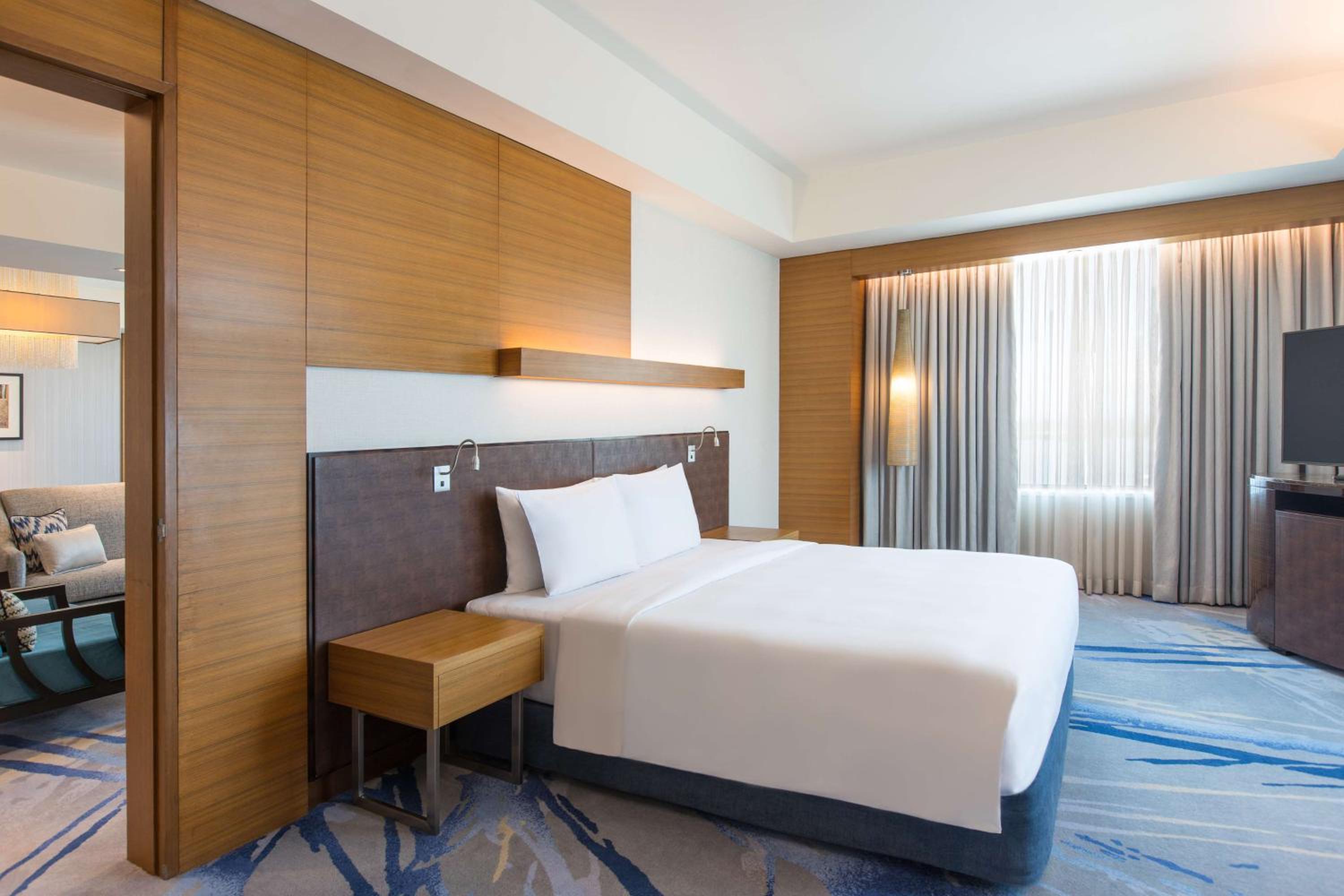 Deluxe Suite With Club Lounge Access photo
