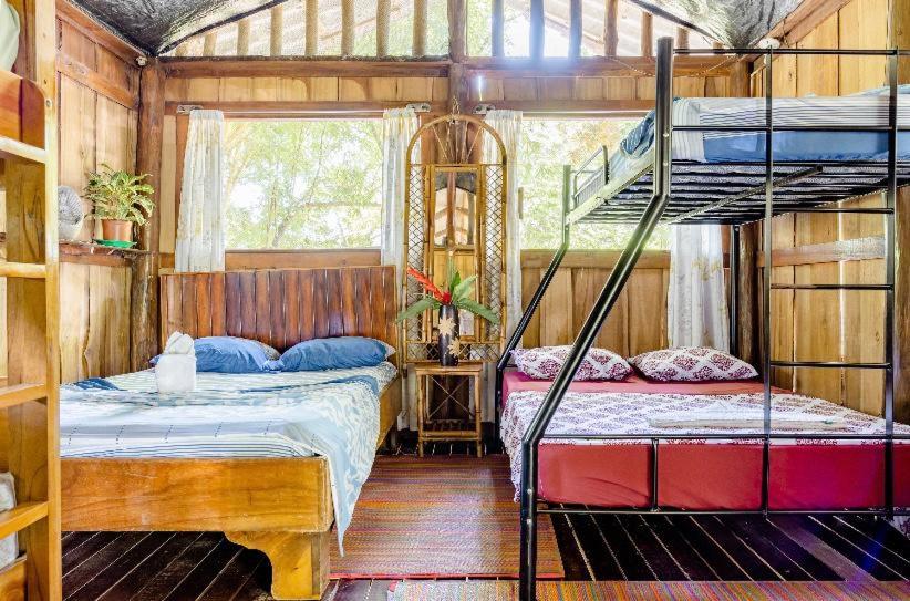Single Bed in Dormitory Room photo 1