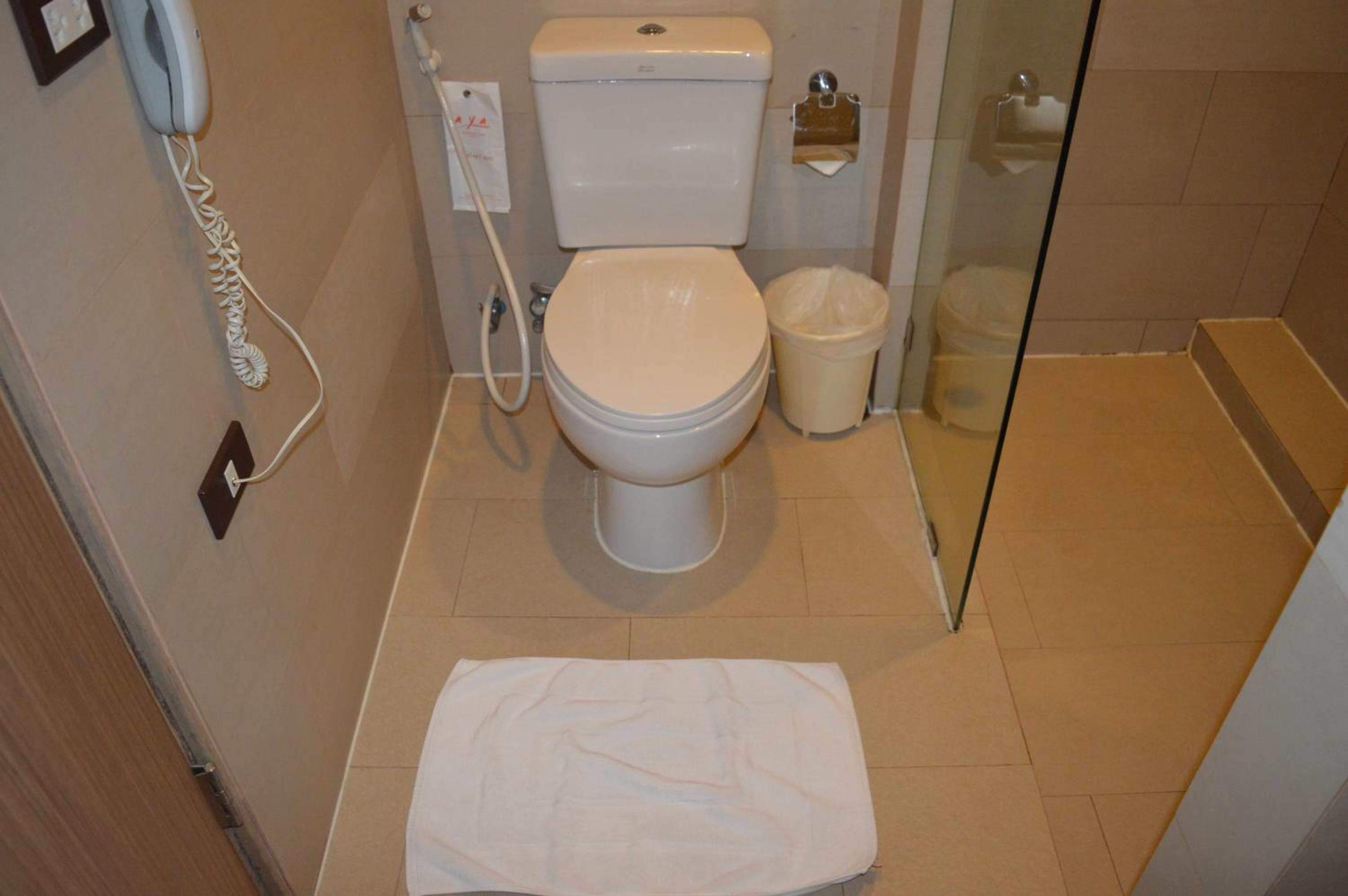 Deluxe Double or Twin Room - Photo 11