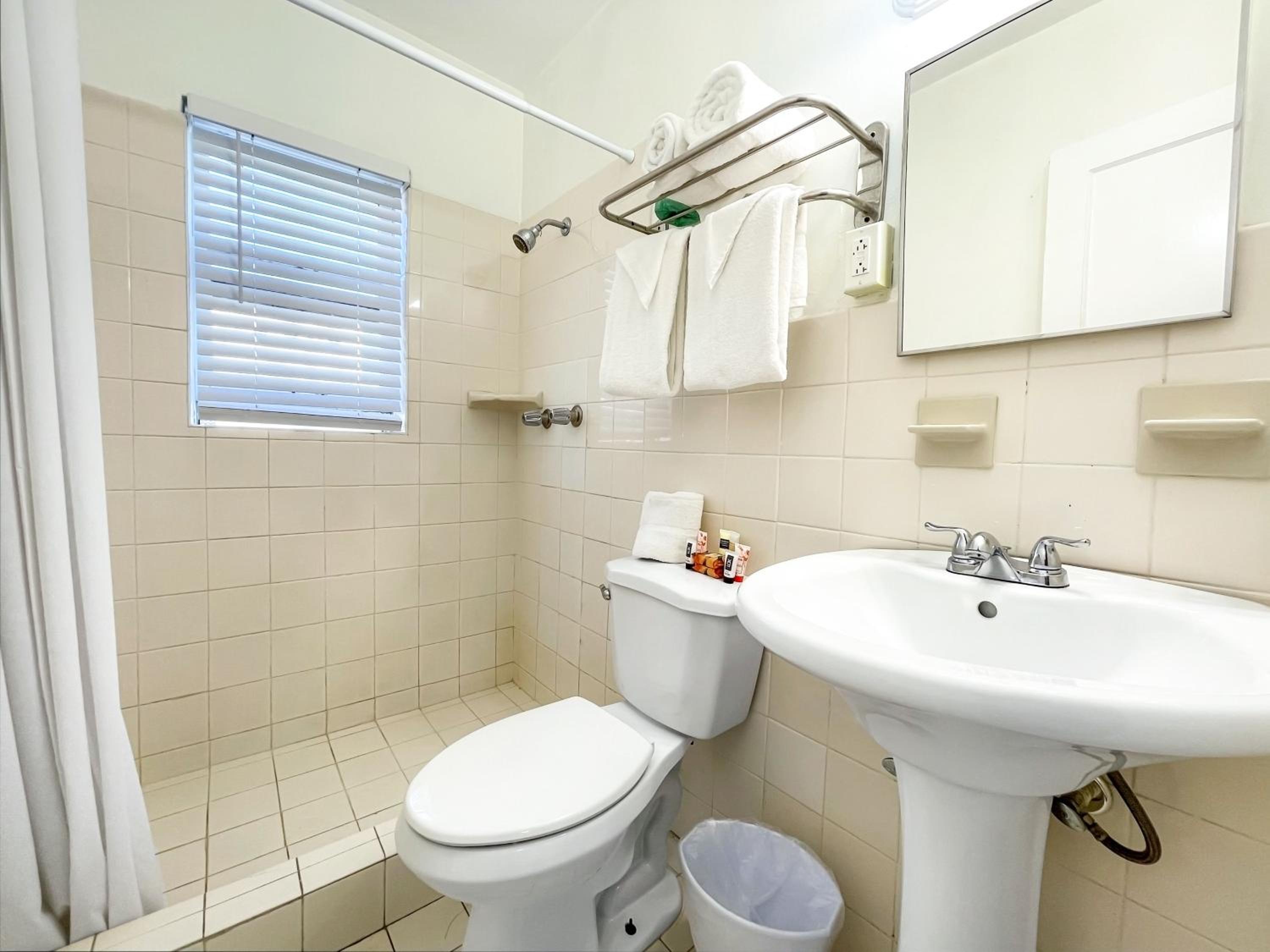 One-Bedroom Suite photo 3