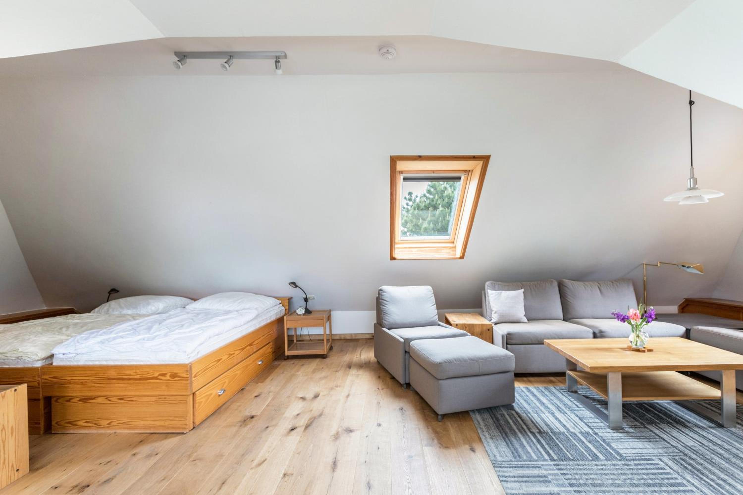 One-Bedroom House photo 3