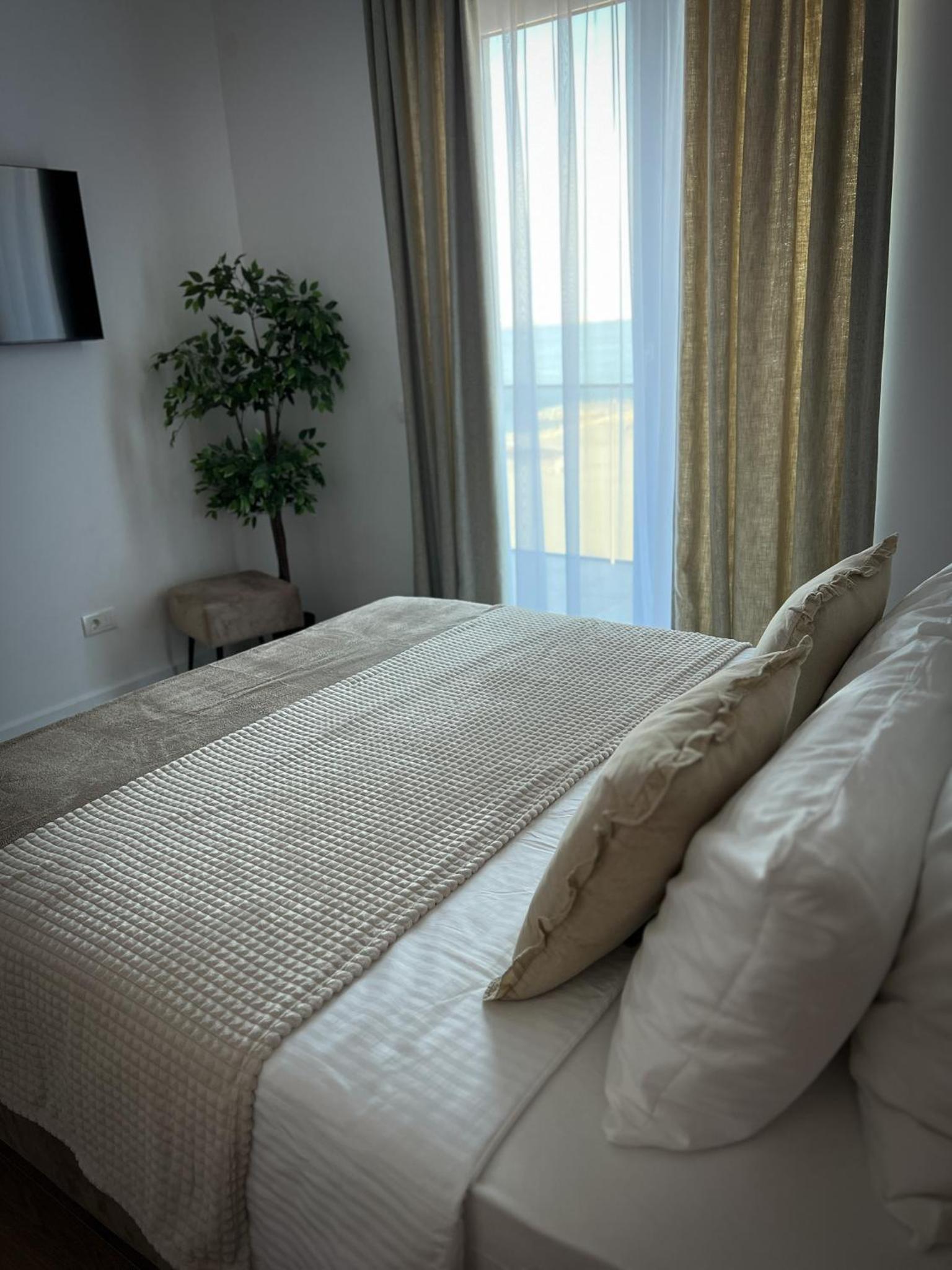 Superior Apartment - Photo 2