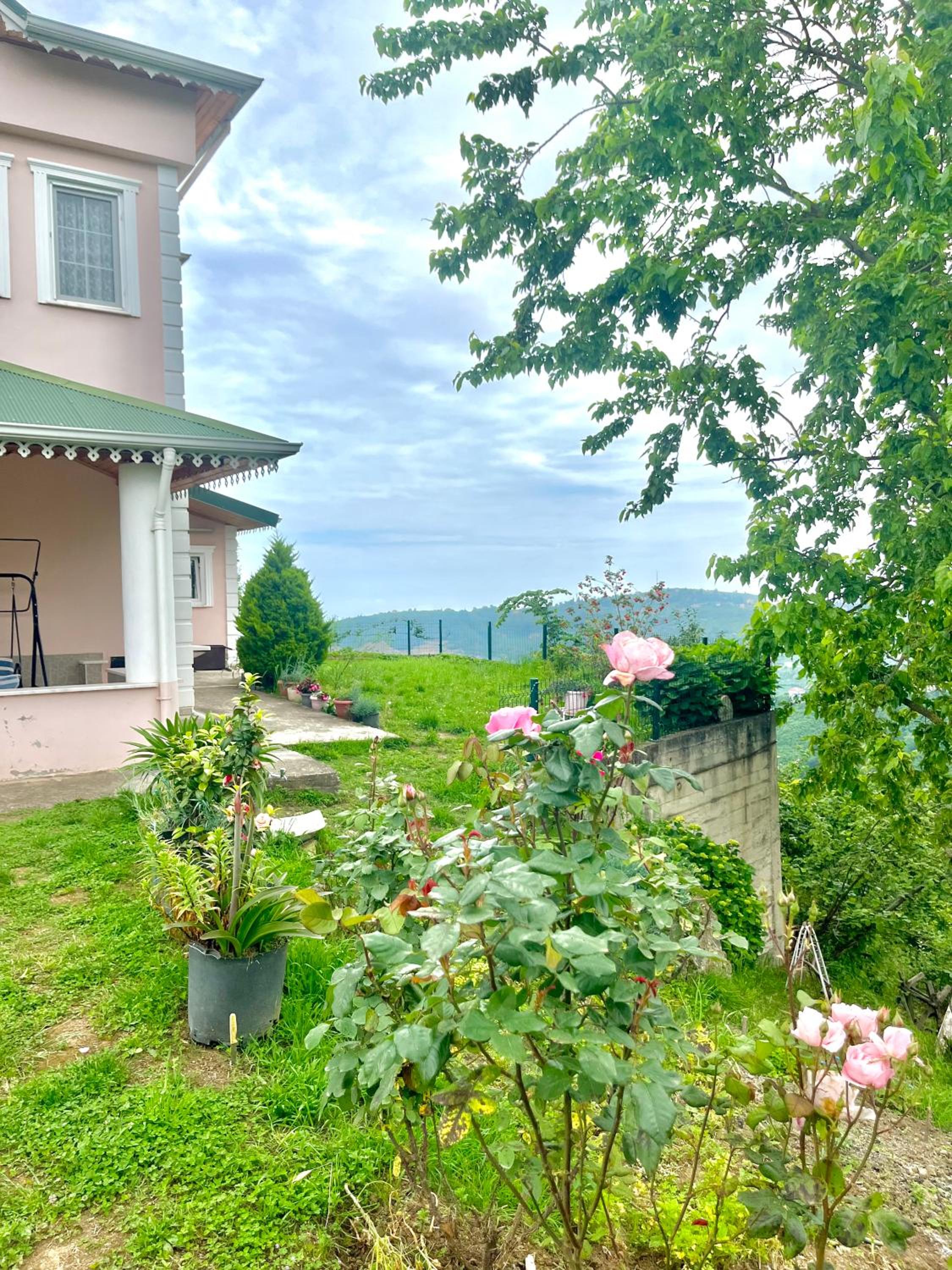 Deluxe Villa photo 3