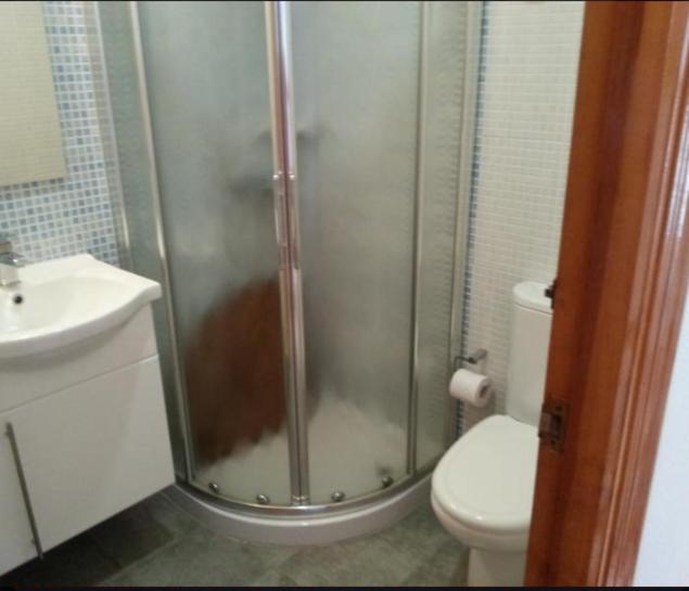 Duplex Apartment photo 3