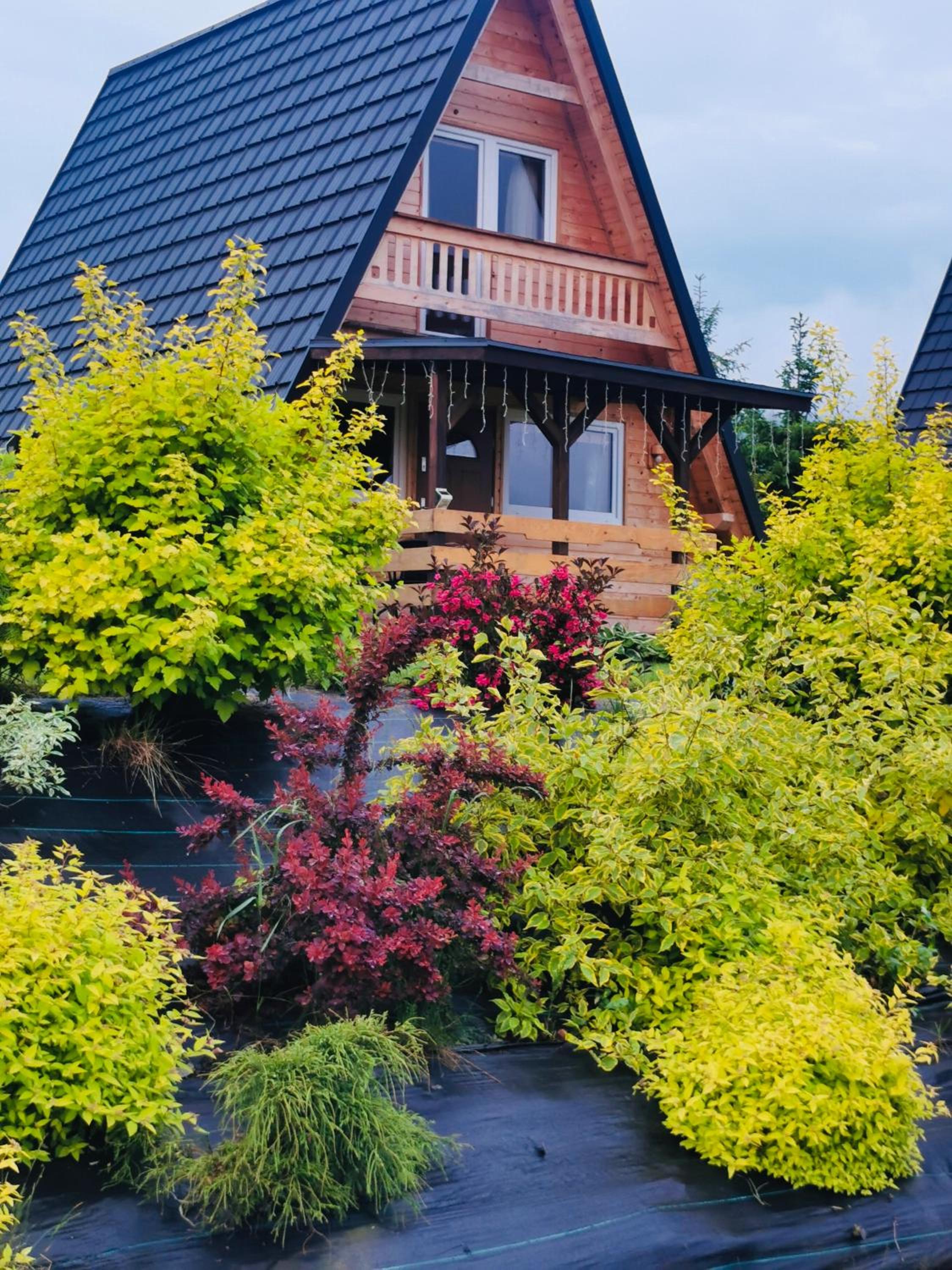 Chalet photo 2