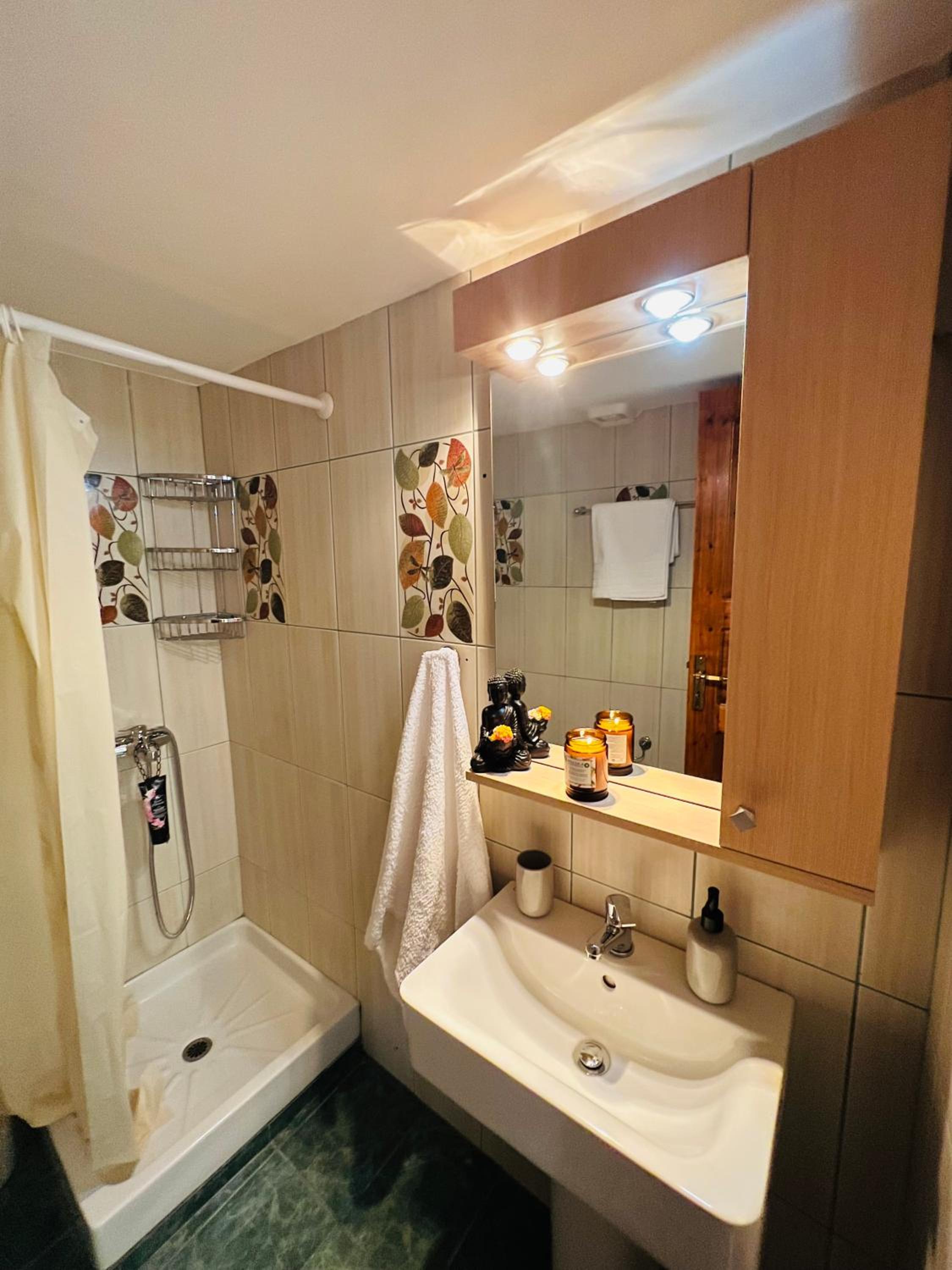 One-Bedroom House photo 3