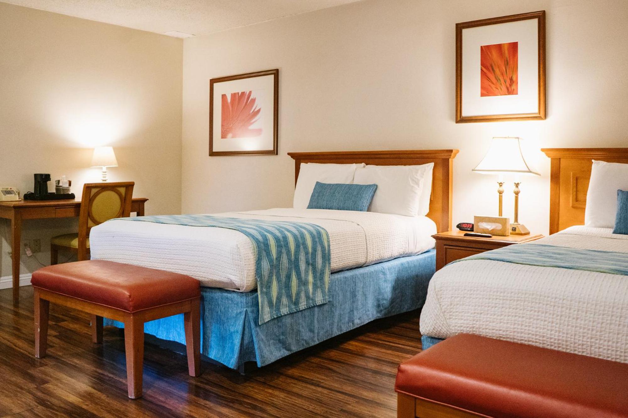 Standard Room with Two Double Beds - Photo 5