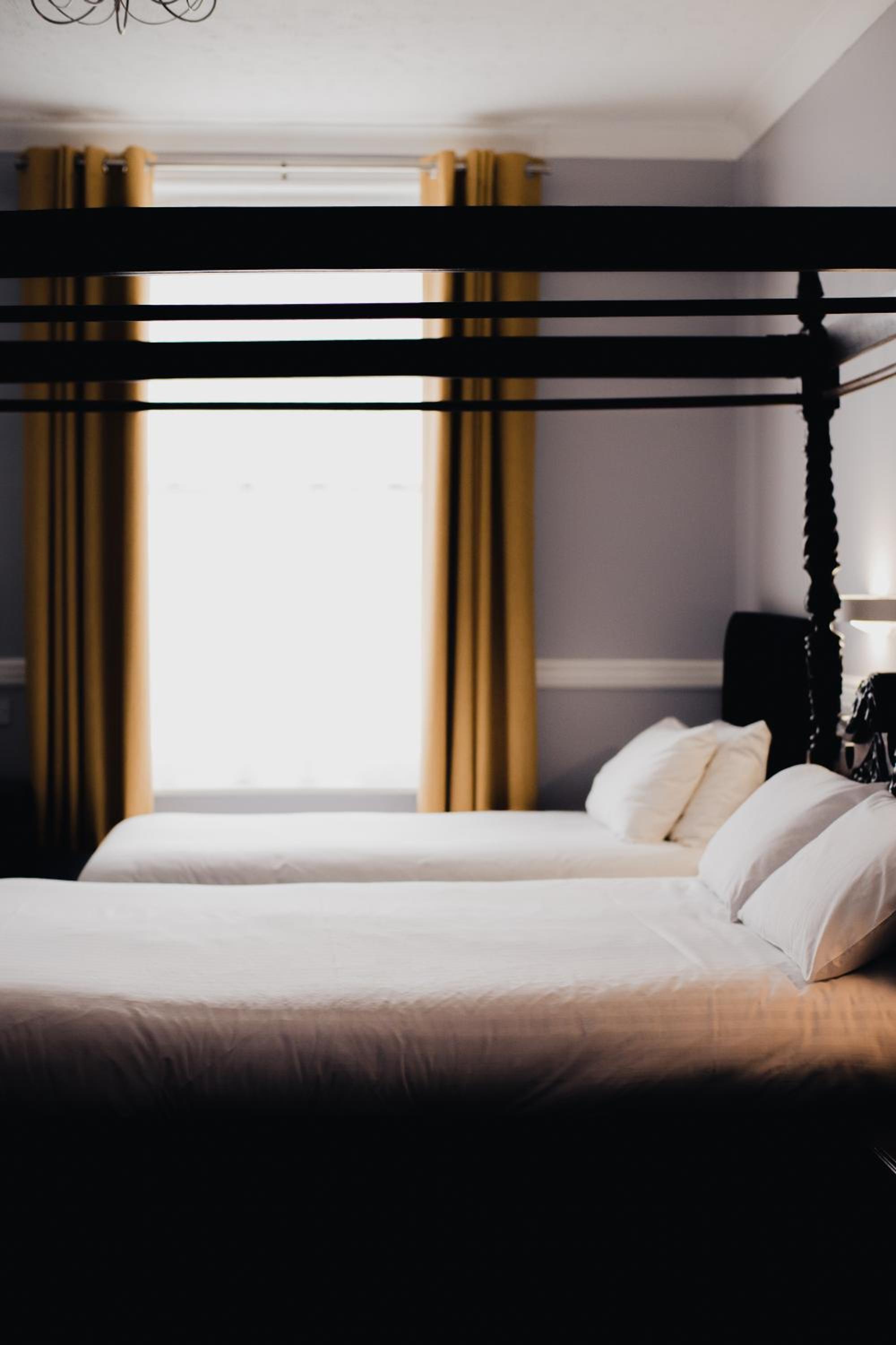 Executive Suite photo 3