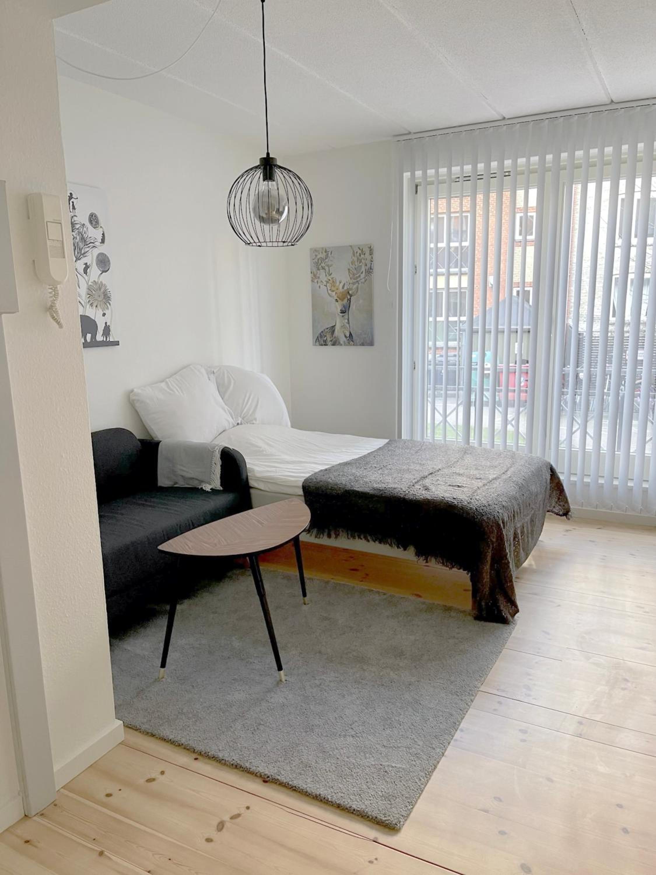 Studio Apartment photo 3