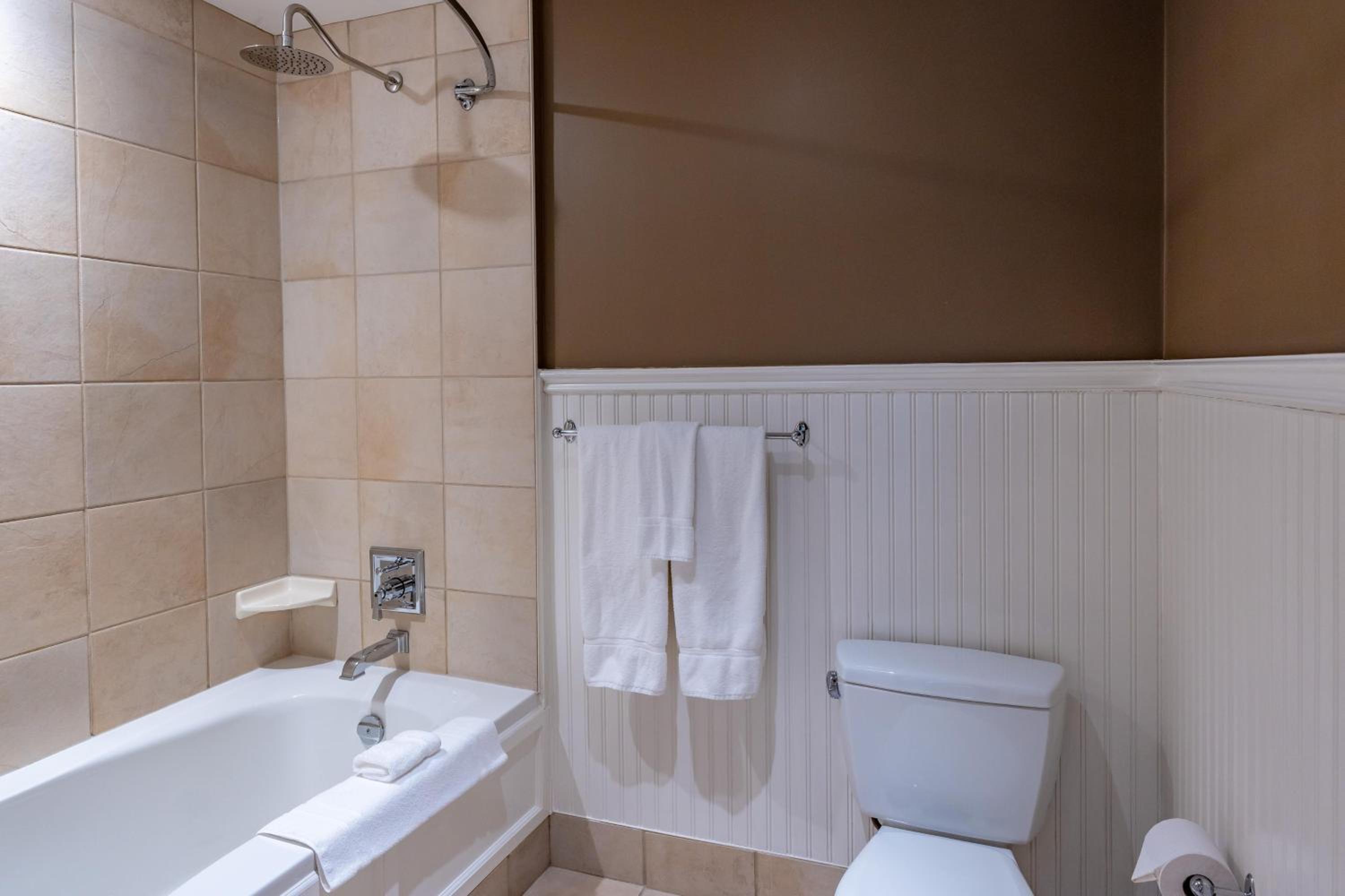 Deluxe Queen Suite photo 2