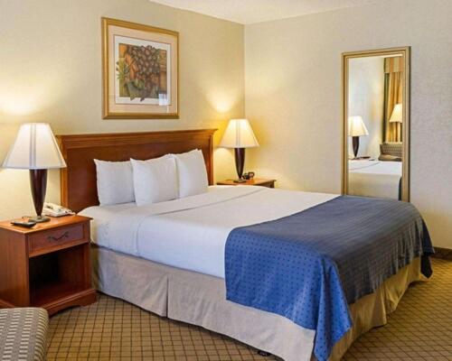 Standard King Room - Photo 1