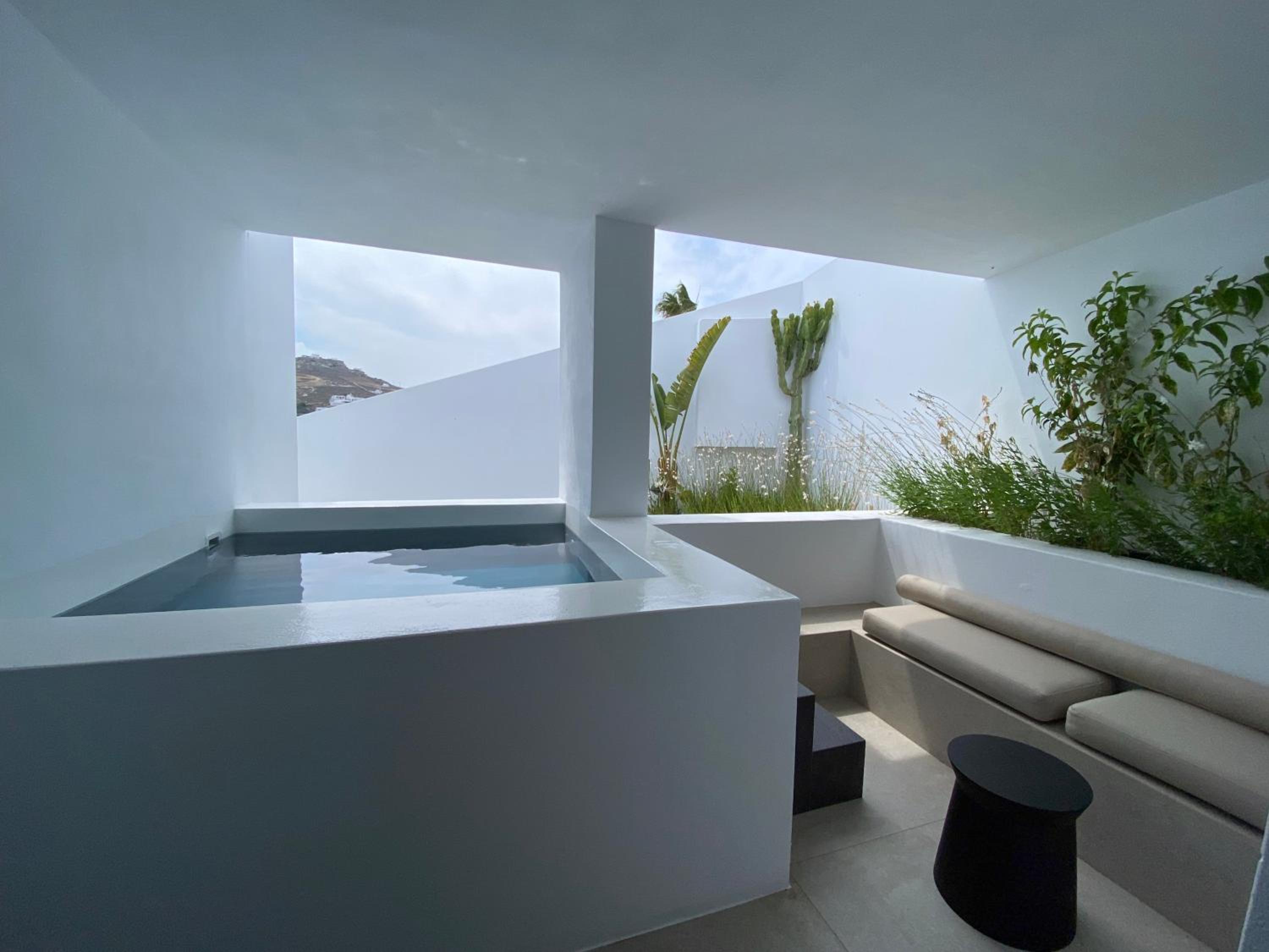 Superior Double Room with Mini Pool No View - Photo 5
