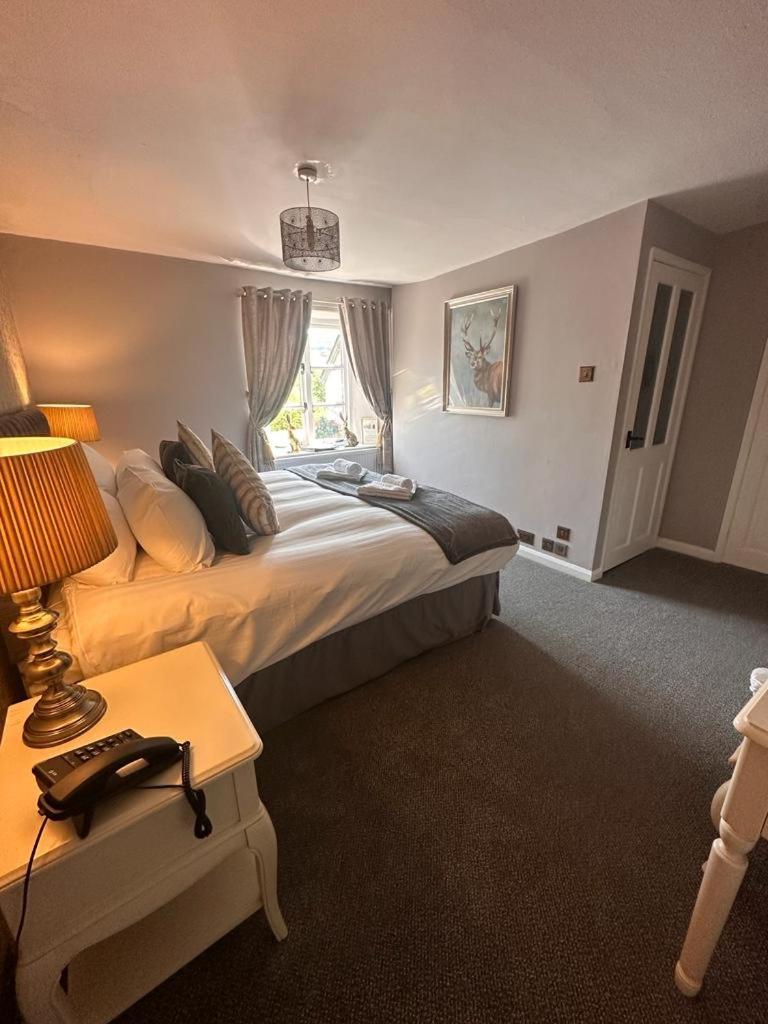 Deluxe Twin Room photo 2