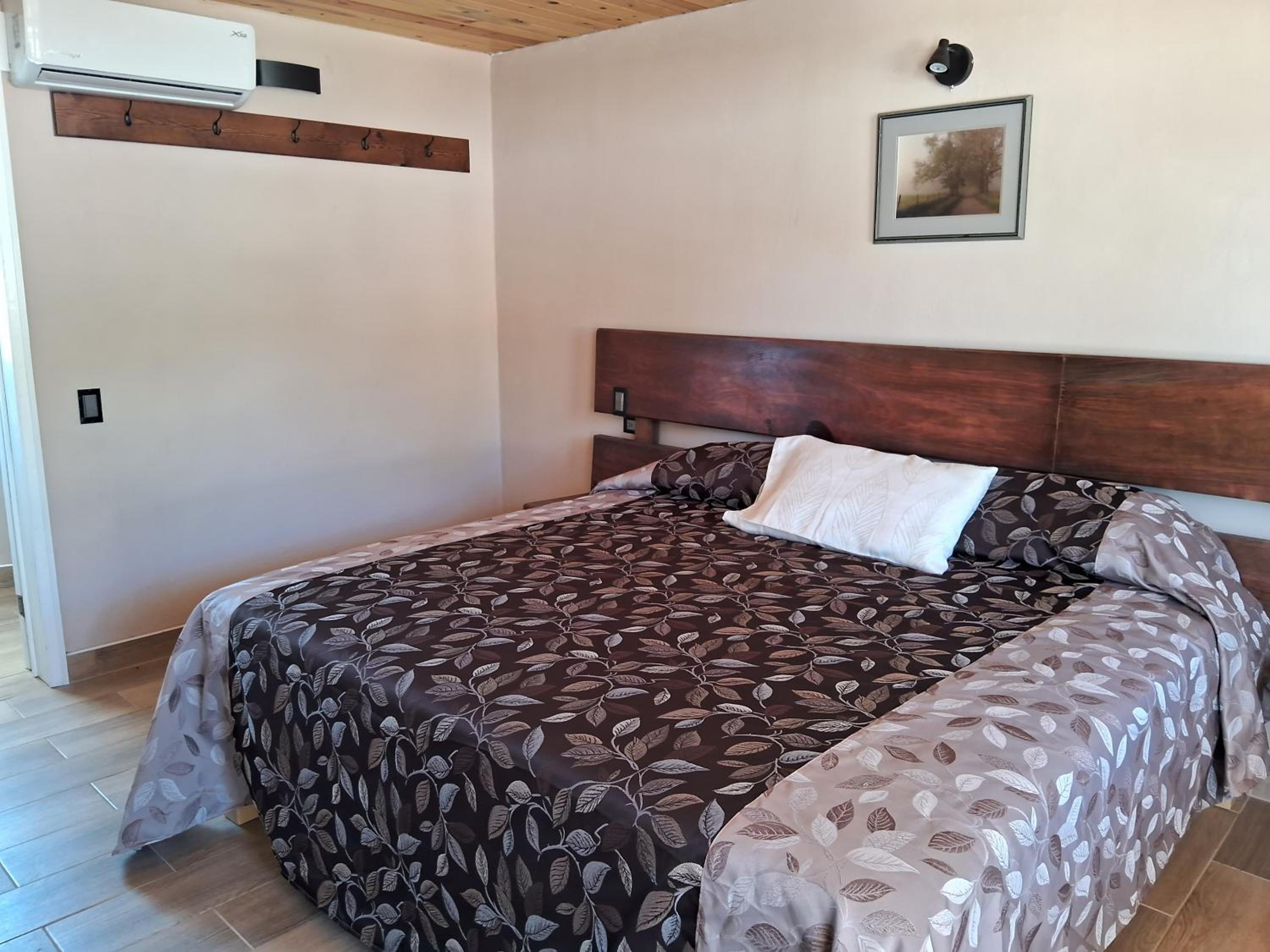 Deluxe Double or Twin Room photo 3