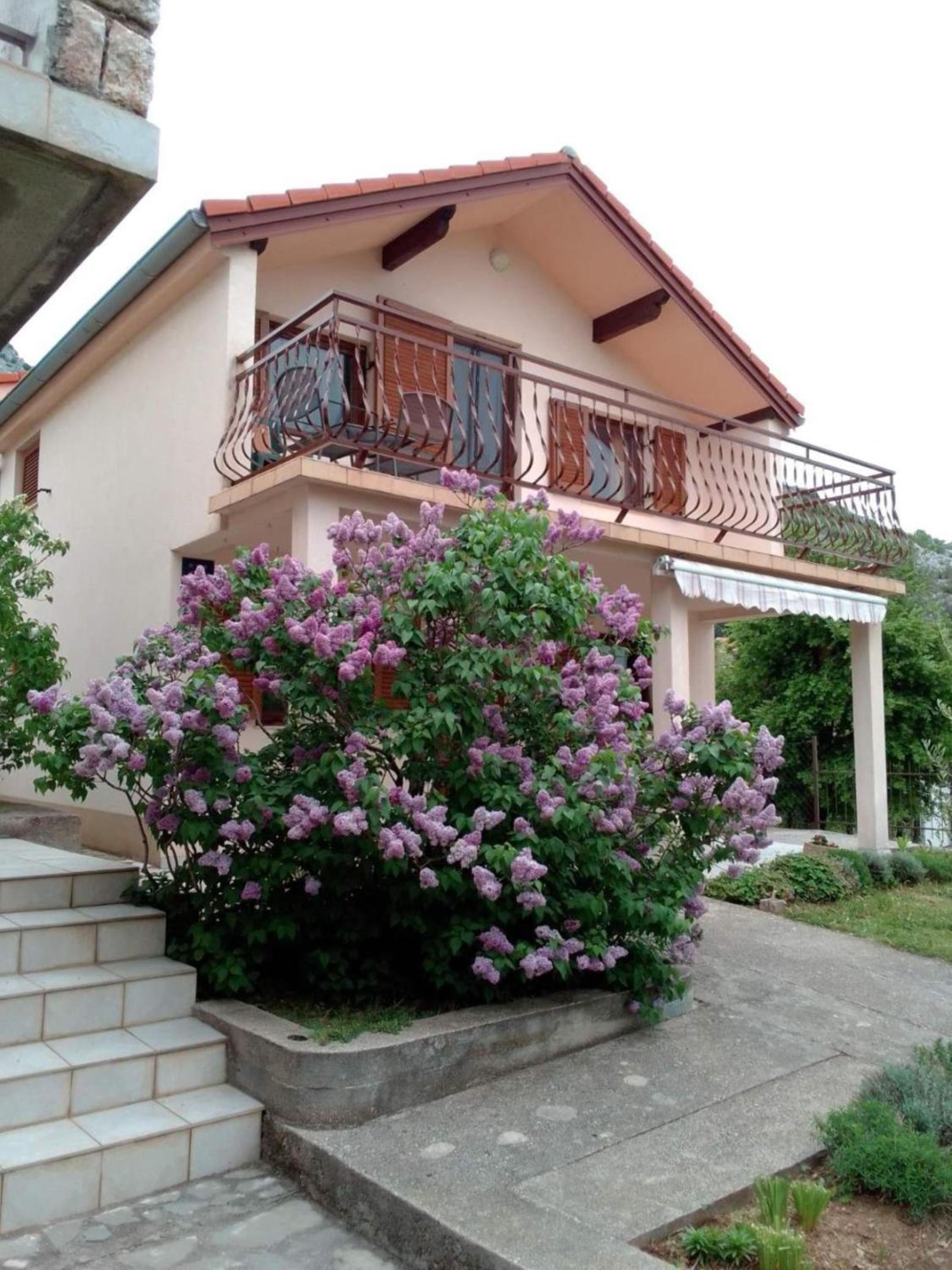 Apartment - Ground Floor - Photo 5