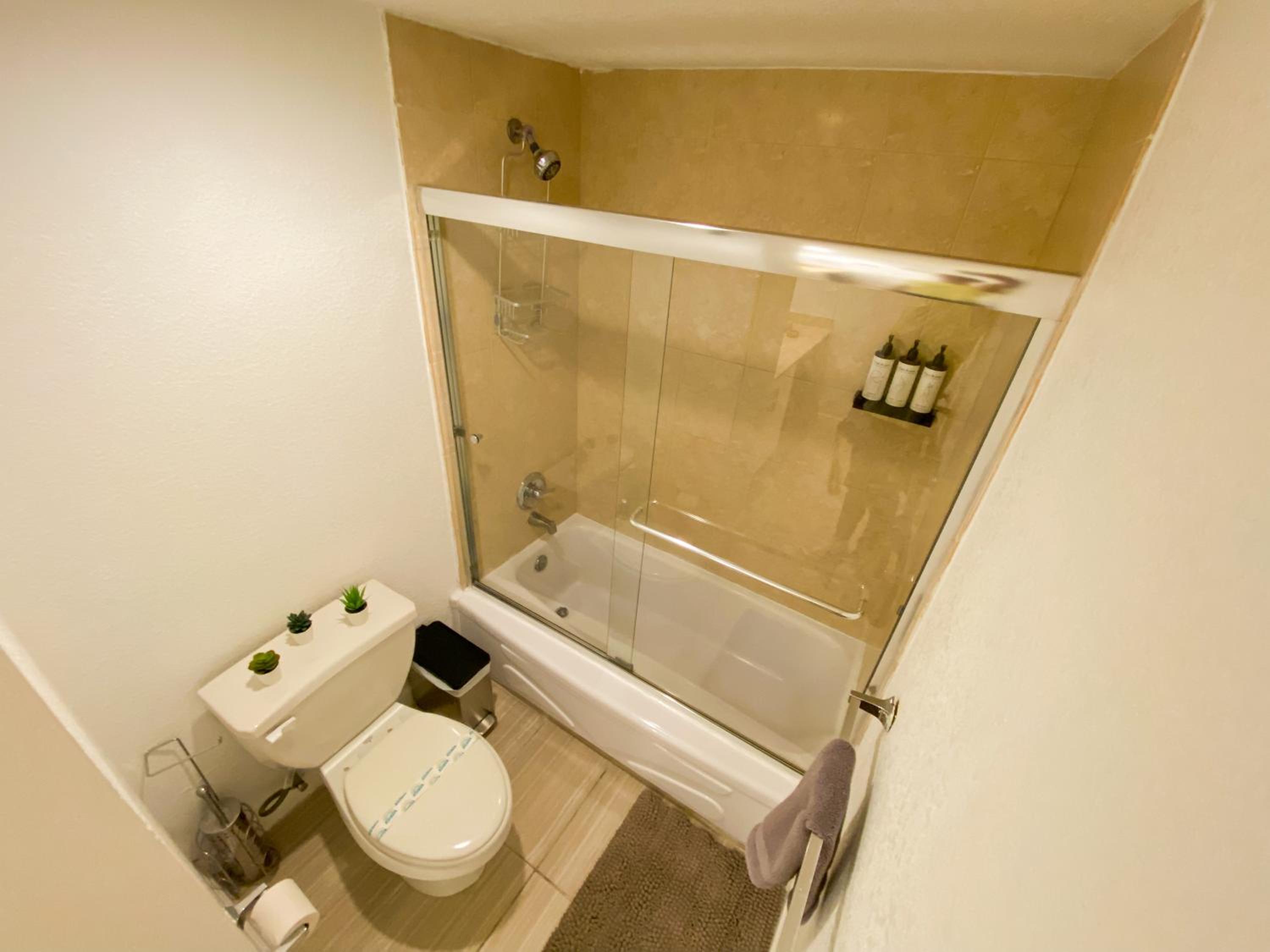 Budget Single Room photo 3