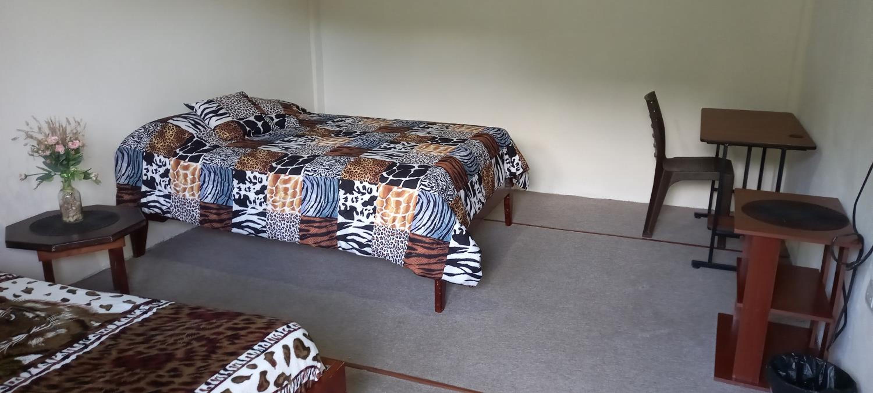 Basic Triple Room with Shared Bathroom photo 2