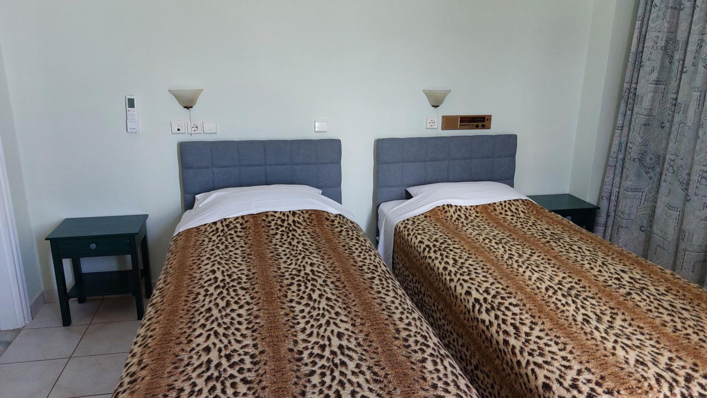 Single Room photo 3
