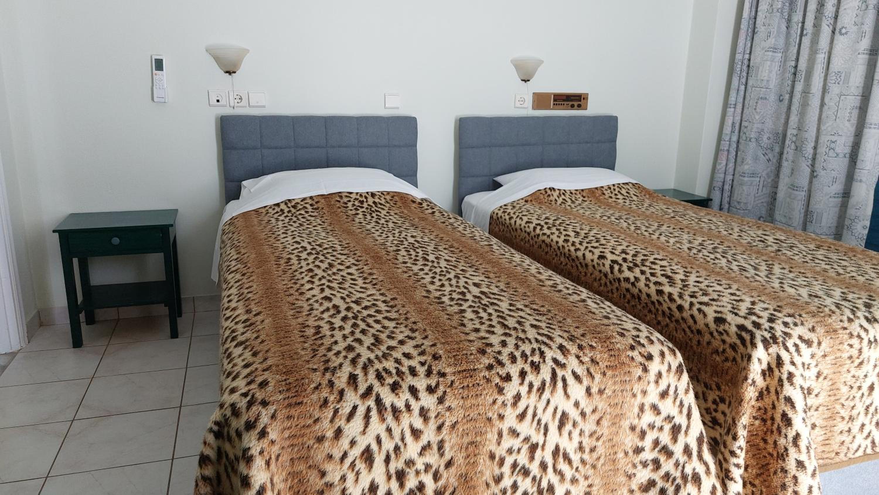 Twin Room photo 3