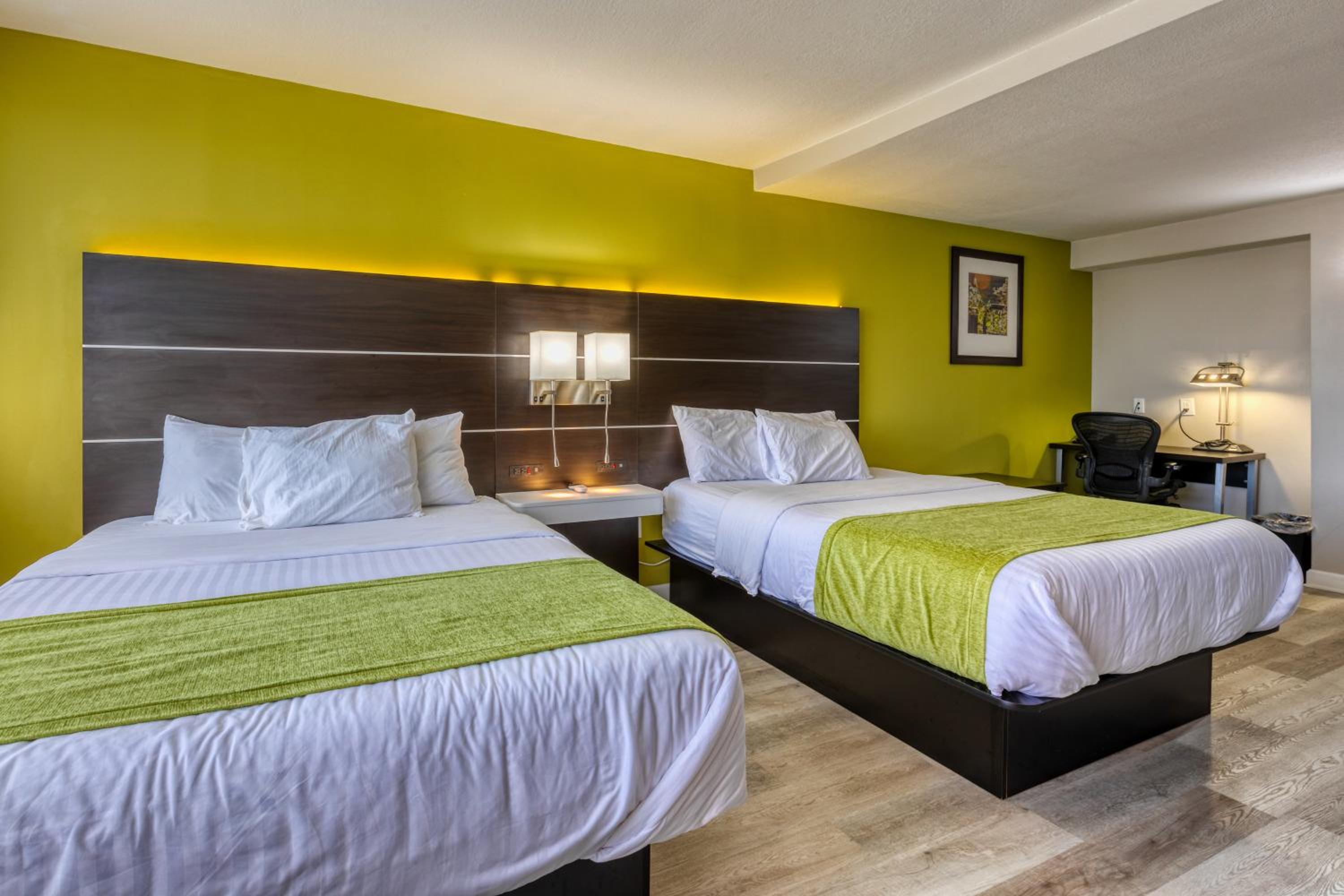 Deluxe Queen Suite - Photo 1