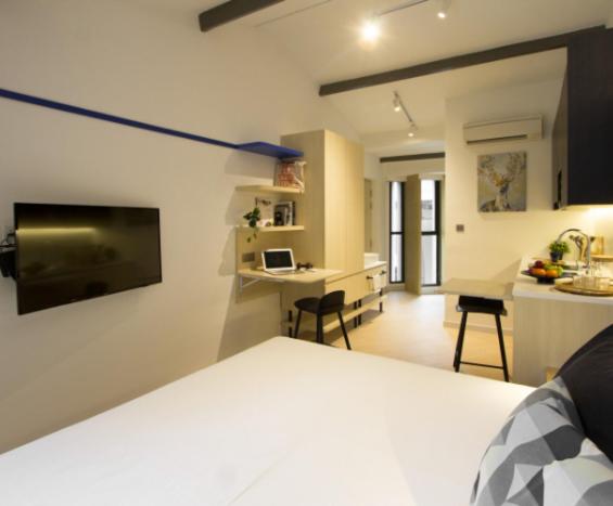 King Studio Suite (K1) photo 3
