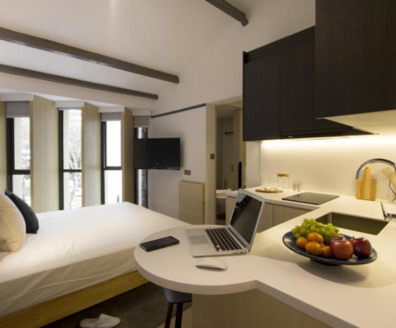 King Studio Suite (K5) photo 3