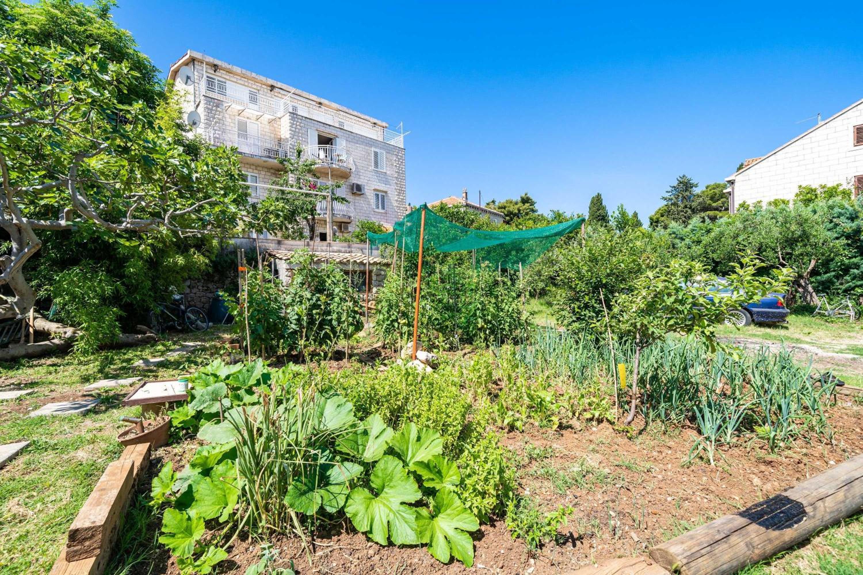 Studio Apartment with Terrace and City View photo 2
