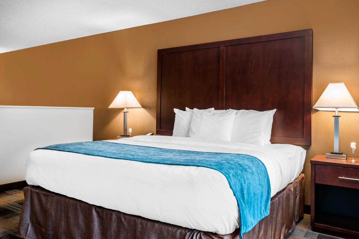 Deluxe King Suite photo 3