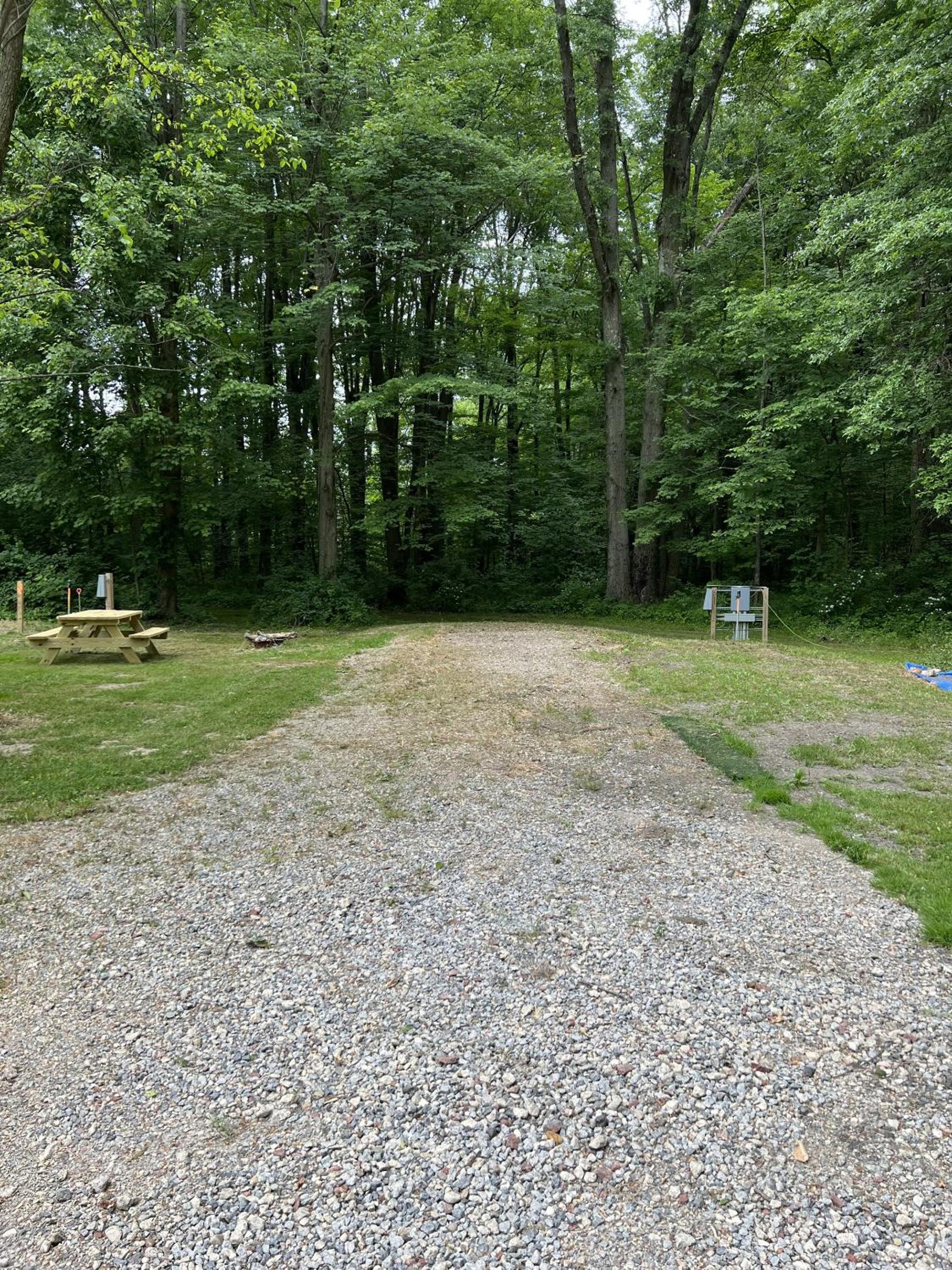Empty Lot photo 1