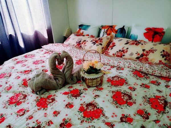 Studio Apartment photo 1