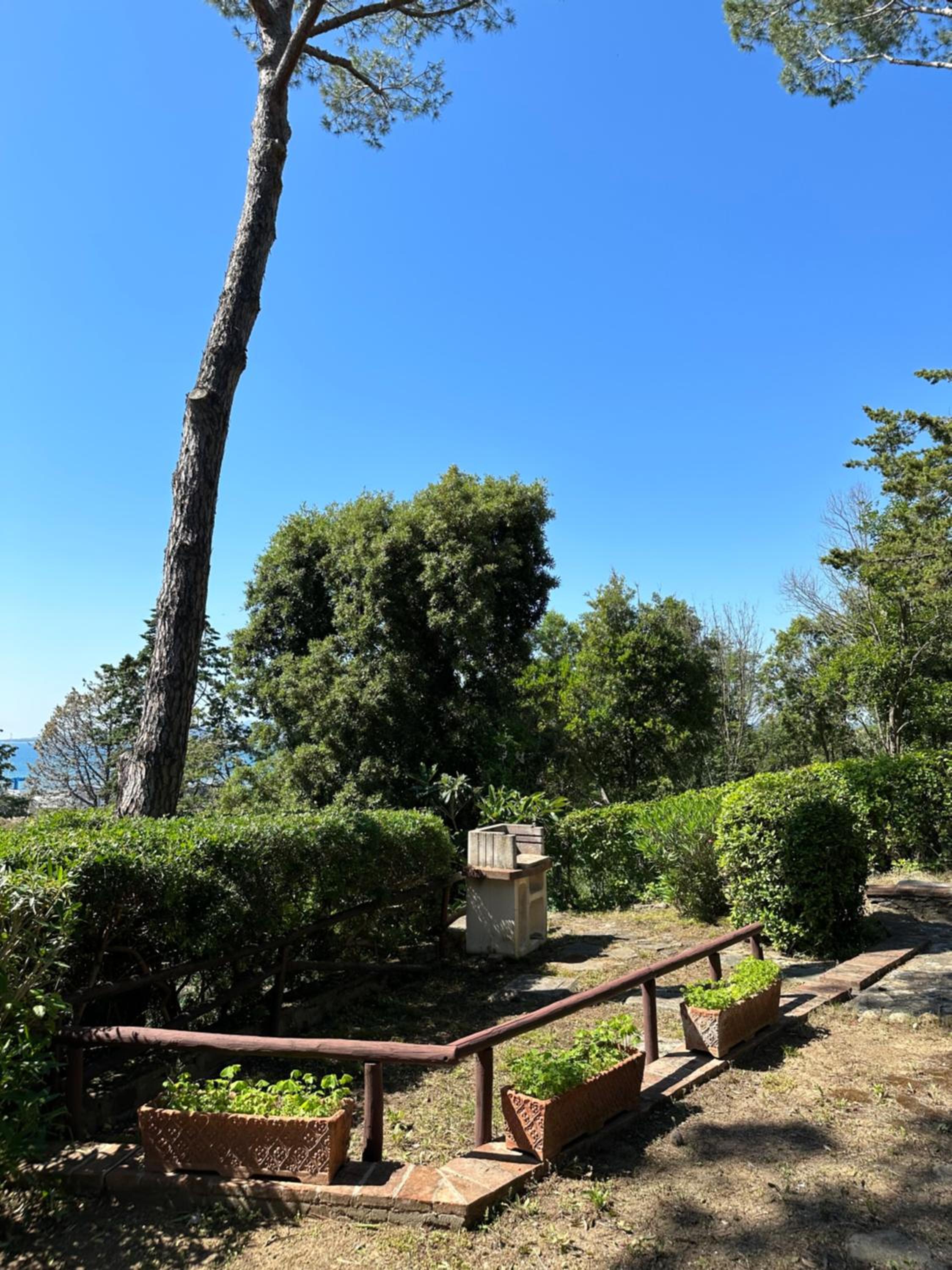 Apartment with Garden View photo 3