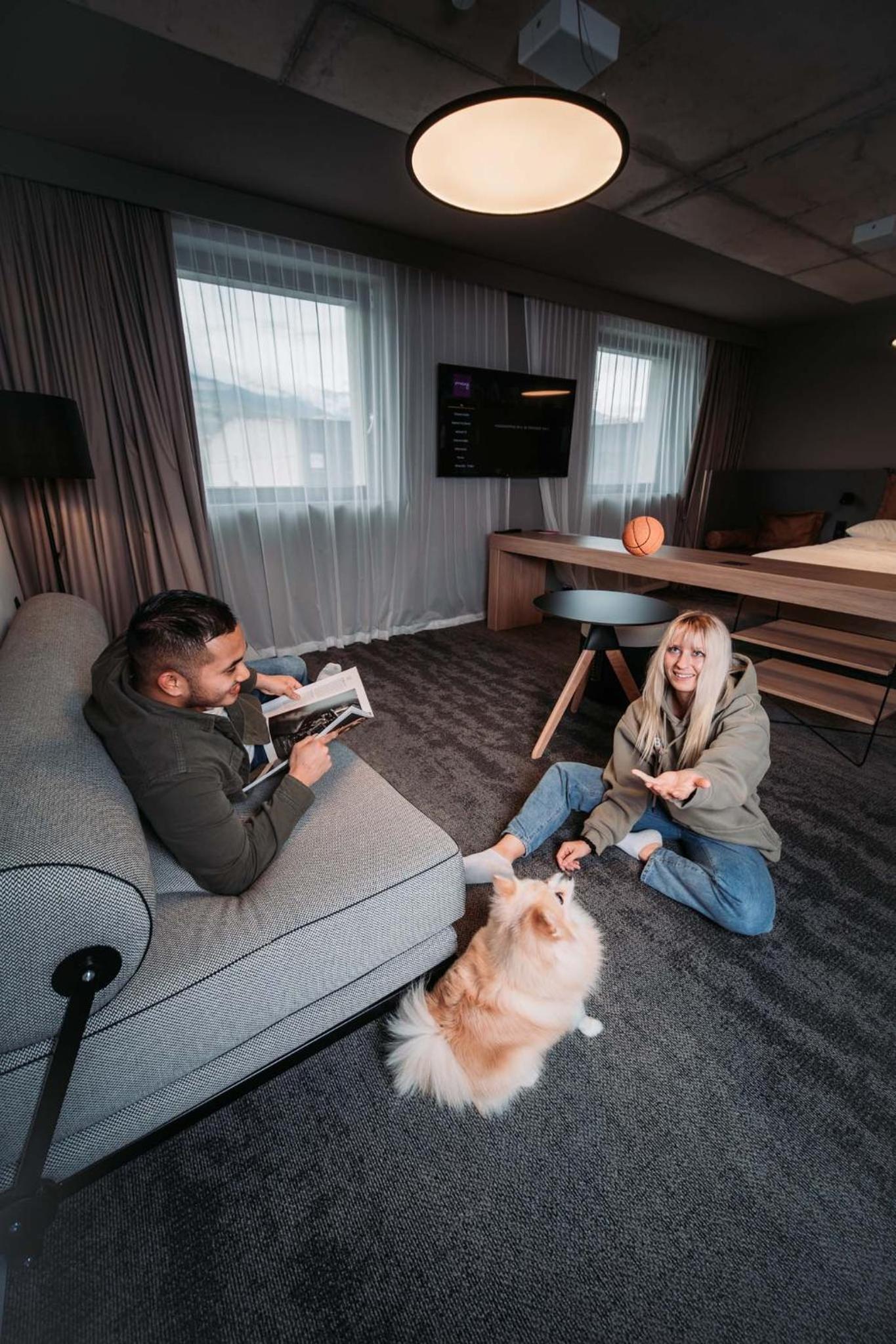 Moxy Family room with 1 Queen, Sofa bed