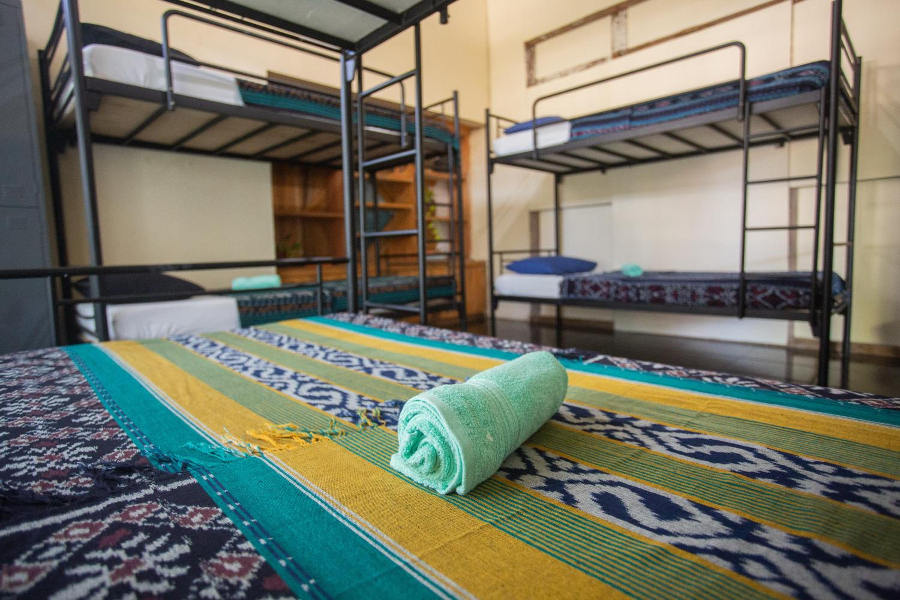 Bunk Bed in Mixed Dormitory Room