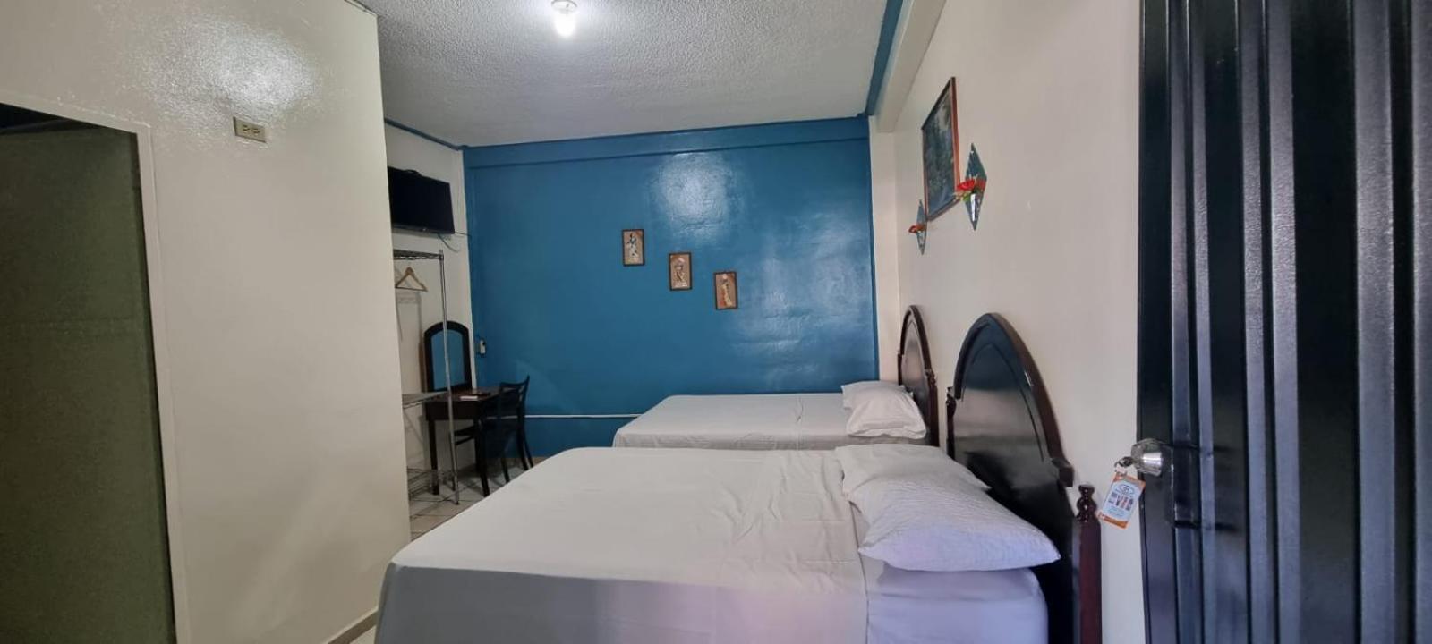 Twin Room photo 2