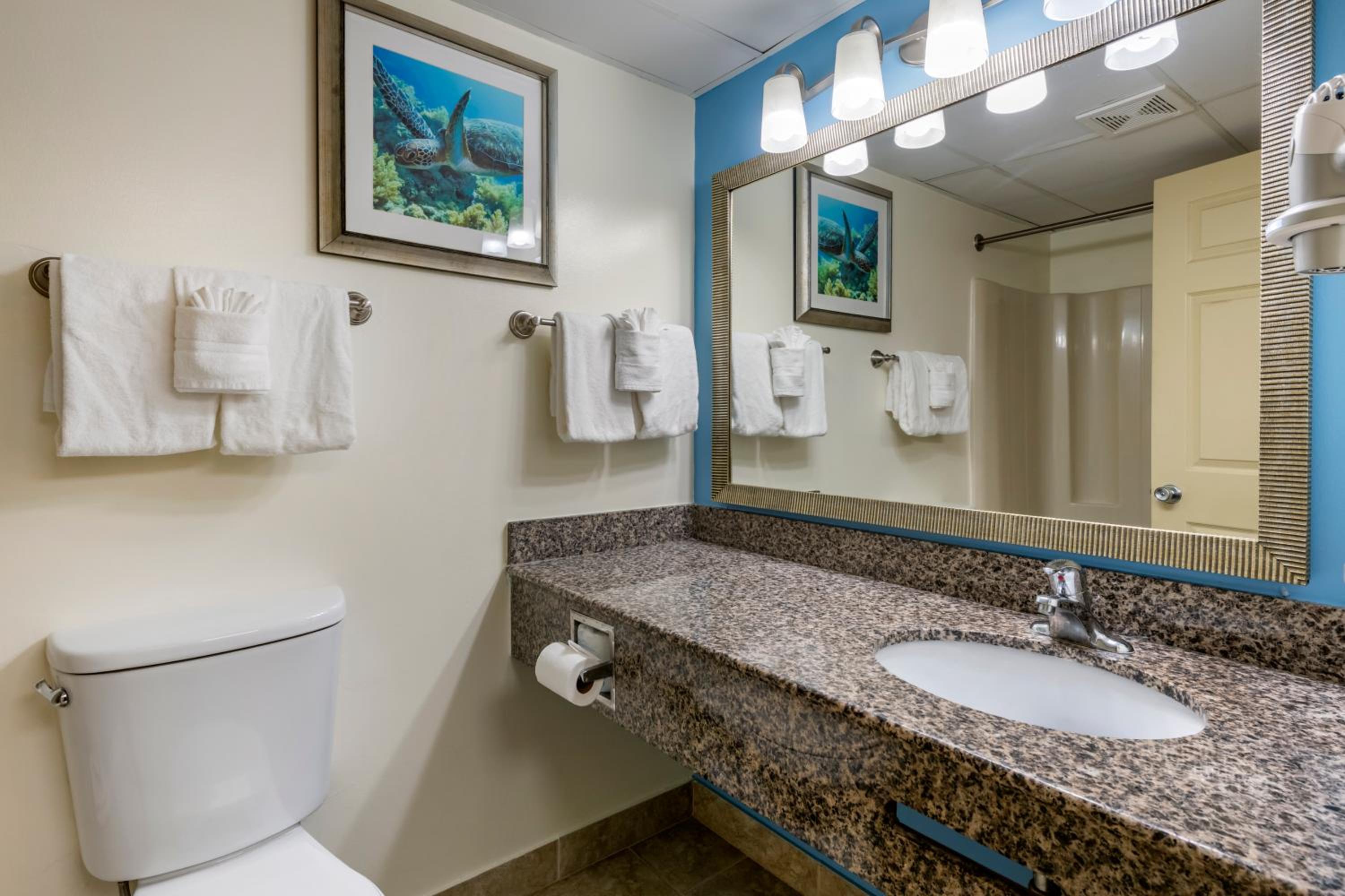 Deluxe King Efficiency - Oceanfront 