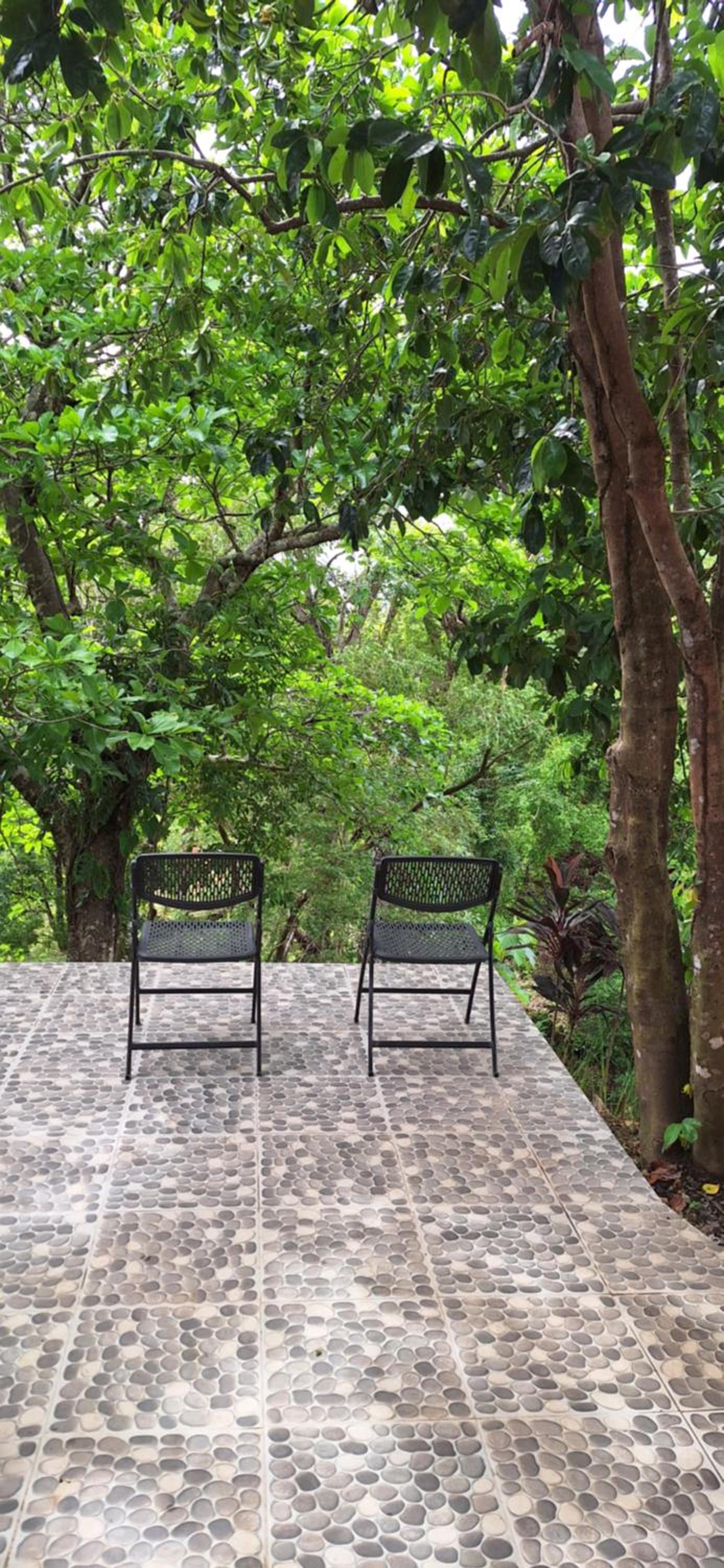 Bungalow with Ocean and Jungle View photo 2