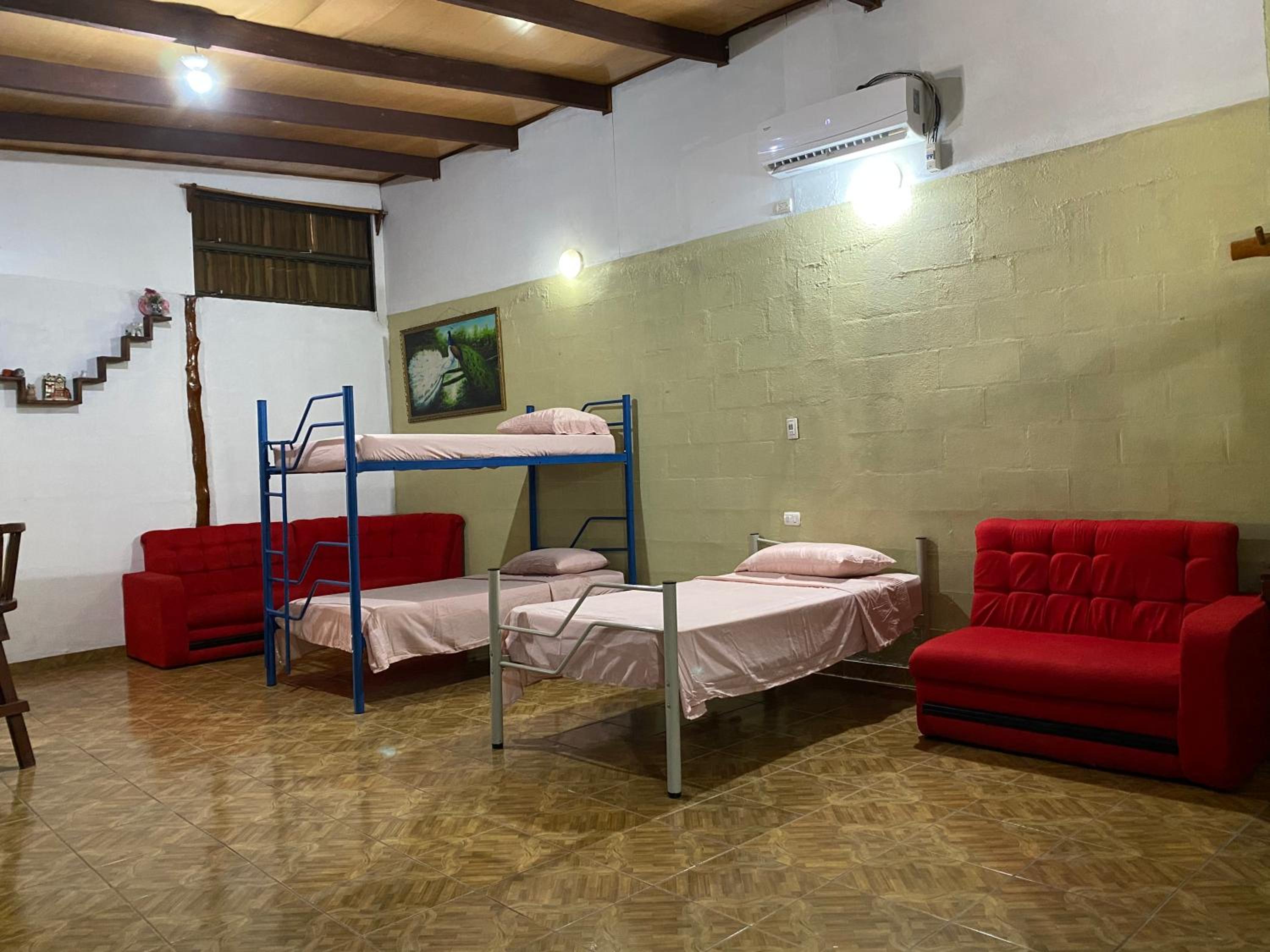 Single Bed In Mixed Dormitory Room photo 1