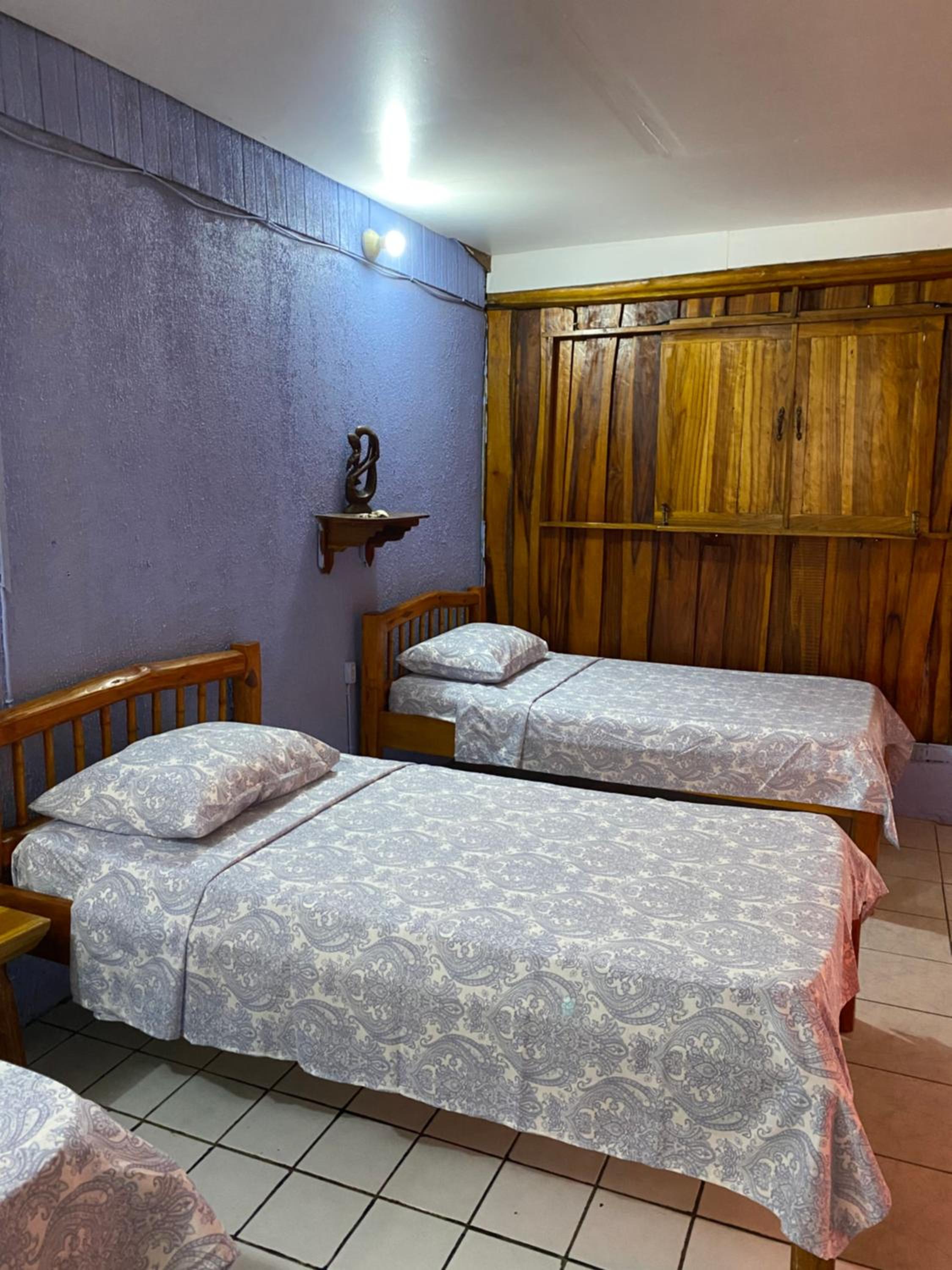 Single Bed In Mixed Dormitory Room photo 2