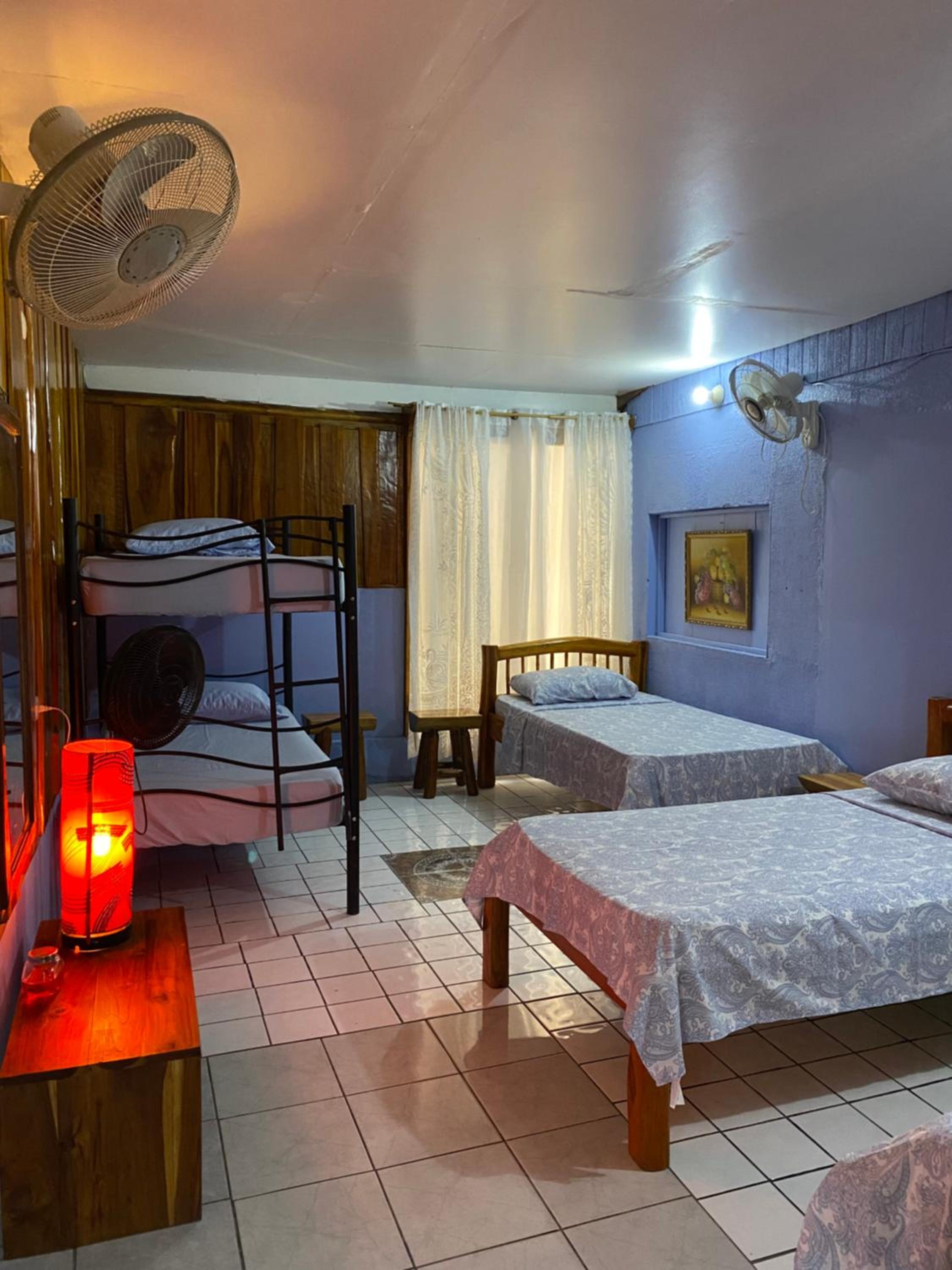 Single Bed In Mixed Dormitory Room photo 1