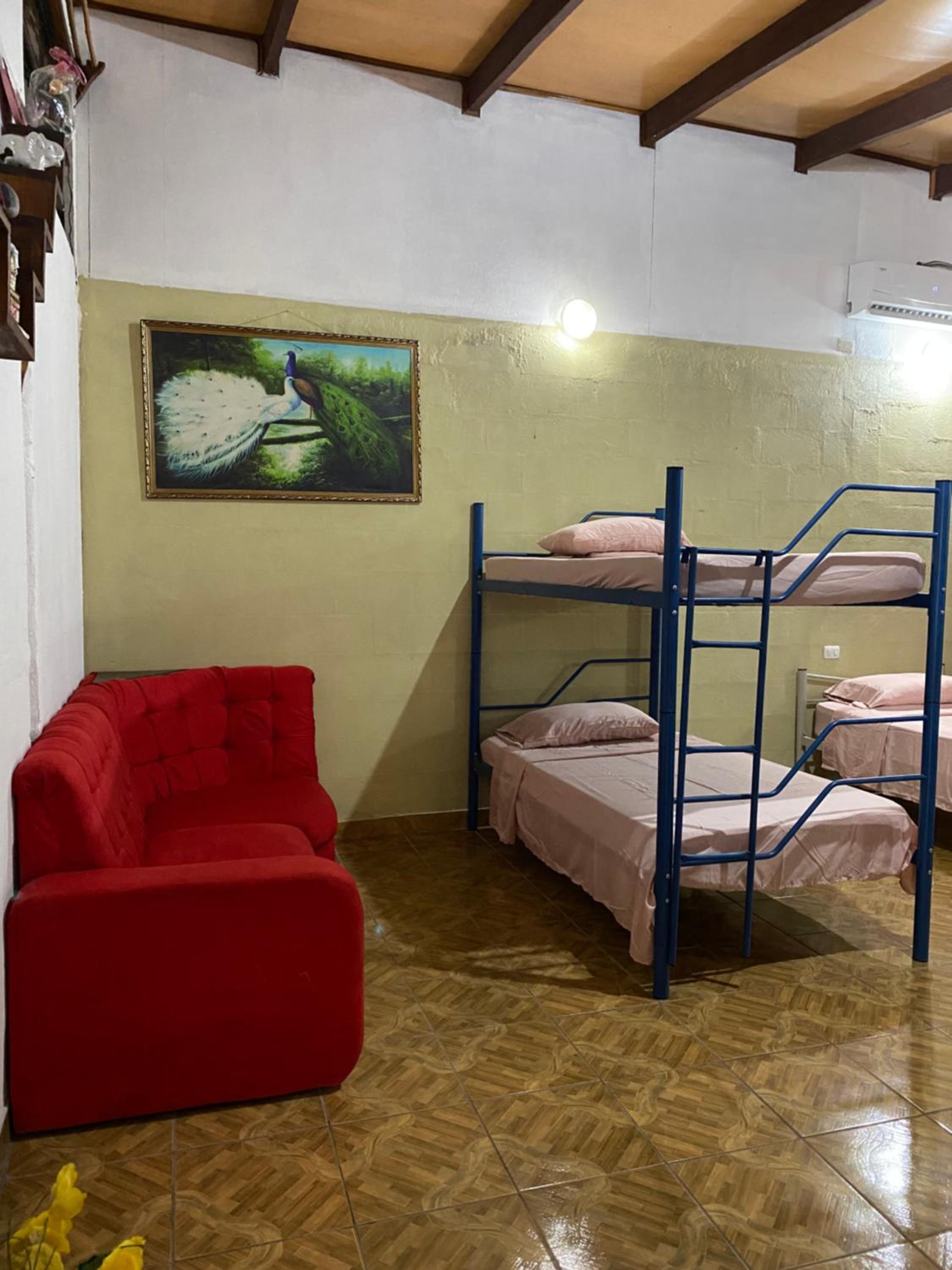 Single Bed In Mixed Dormitory Room photo 3